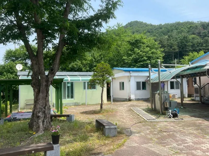 منظر لقرية دانغنيم الكورية، يظهر منازل قديمة محاطة بالأشجار، تعكس ذكريات عائلة مين التي تضررت من الحرب الكورية.