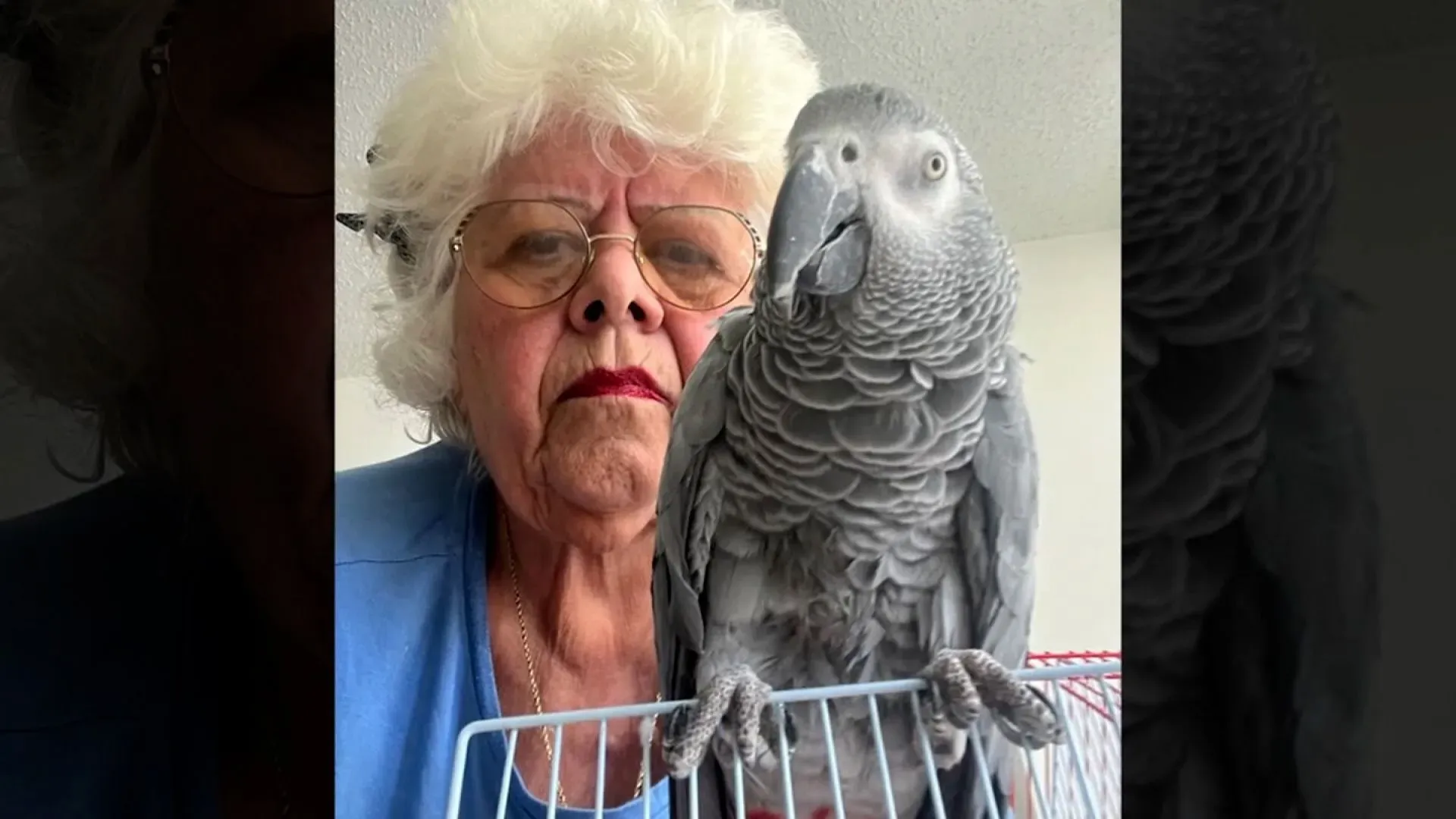 امرأة مسنّة تحمل ببغاءها "الدعم العاطفي" في صورة تعبر عن معاناتها بعد منعها من السفر إلى نيويورك بسبب سياسة شركة الطيران.