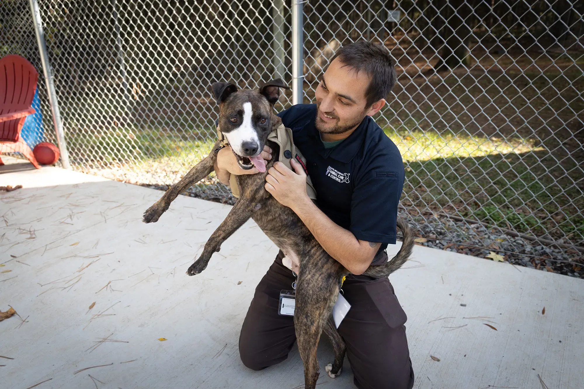 موظف في مأوى للحيوانات يحمل كلبًا في الهواء، مع سياج خلفي وأماكن جلوس، مما يعكس التحديات المتزايدة في رعاية الحيوانات الأليفة.