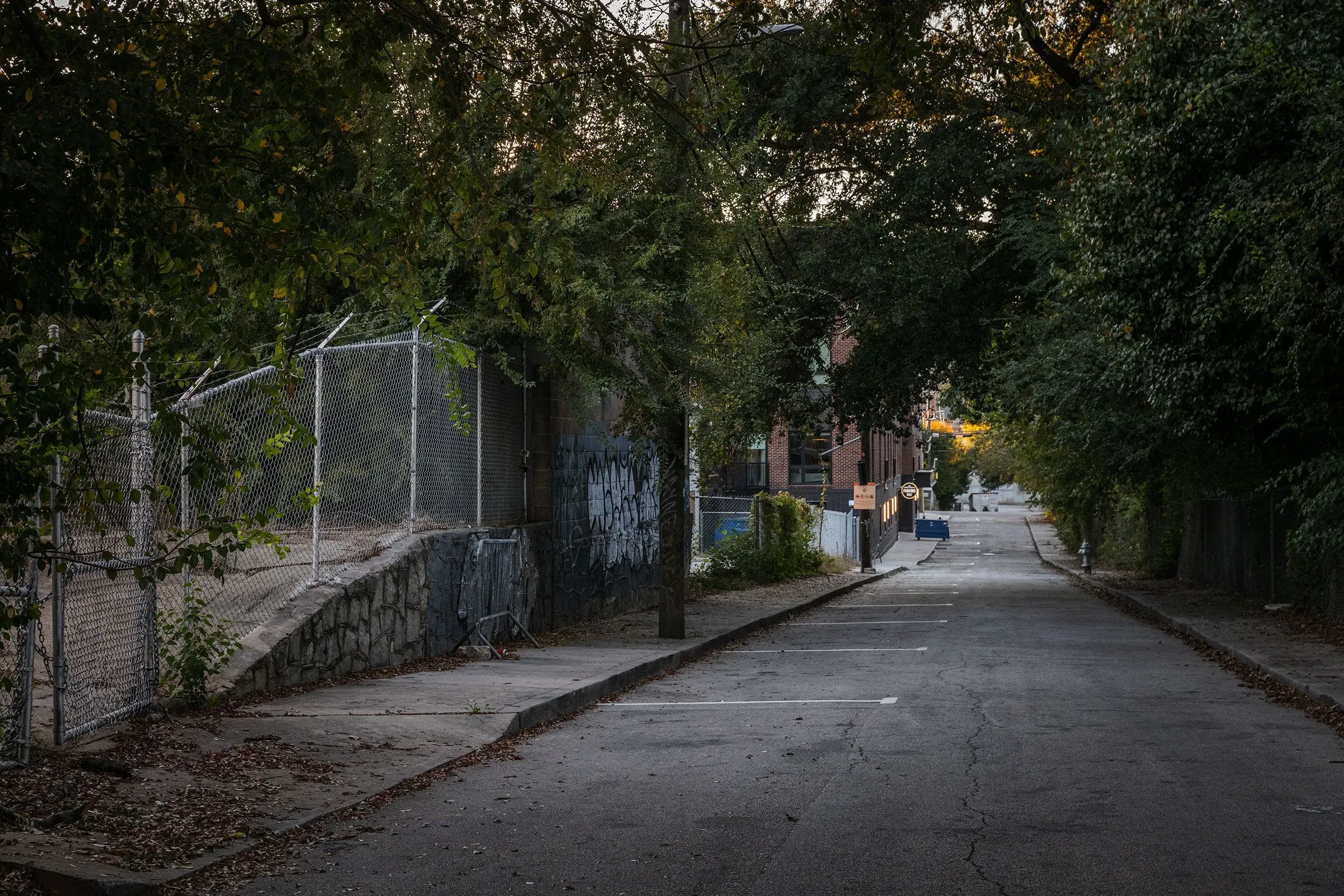شارع ضيق في أتلانتا محاط بالأشجار، يظهر علامات الإهمال، مع وجود سياج معدني في الخلفية، مما يعكس واقع التشرد في المدينة.