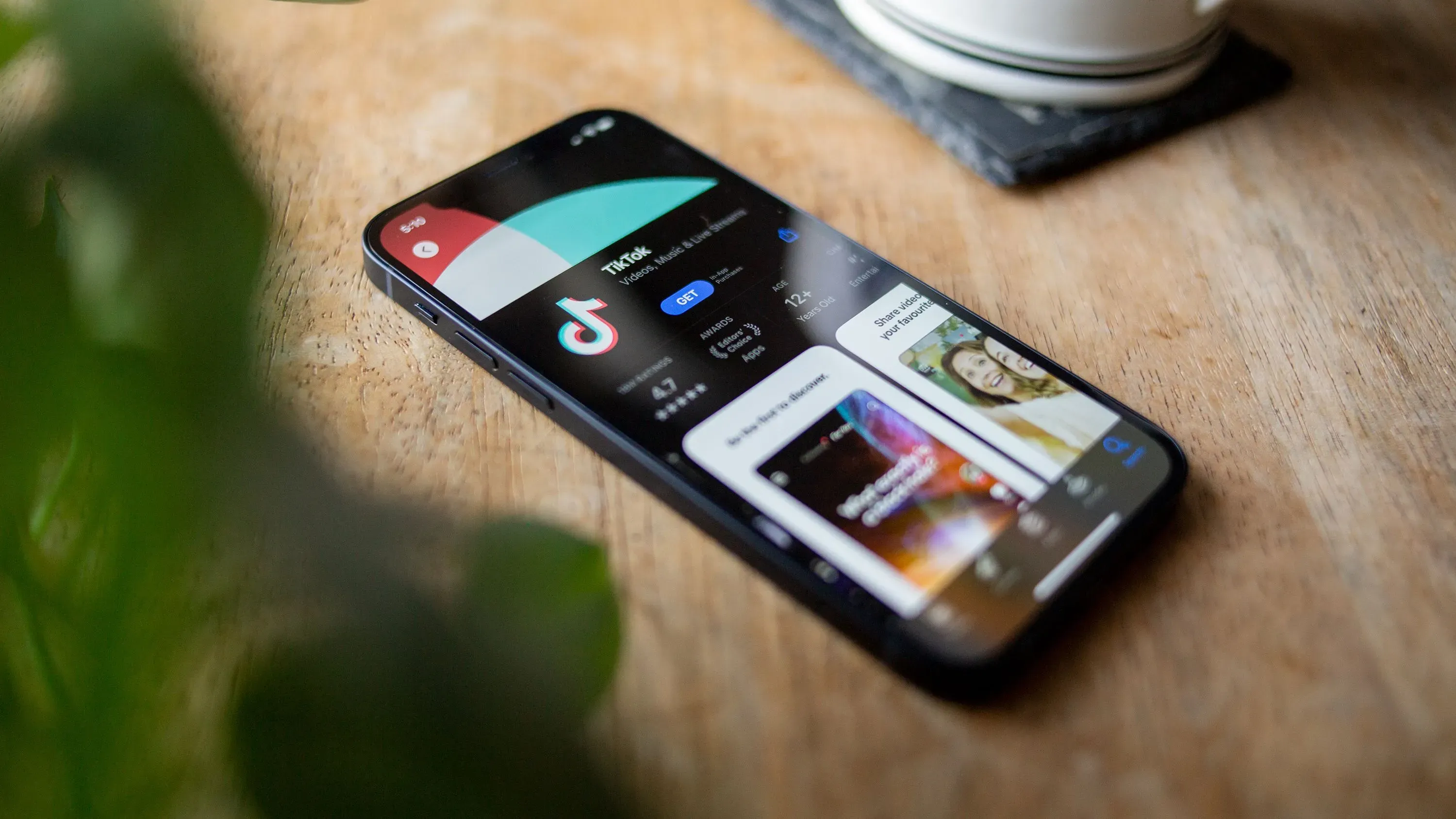 تطبيق تيك توك معروض على شاشة هاتف ذكي، يظهر واجهته الرئيسية مع أيقونة التطبيق، محاطًا بنباتات على سطح خشبي.