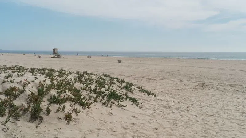 شاطئ هادئ في كاليفورنيا يظهر الكثبان الرملية والنباتات، مع وجود برج إنقاذ في الخلفية، يعكس الأجواء التي تعرض فيها راكب الأمواج دوليان للسرقة.