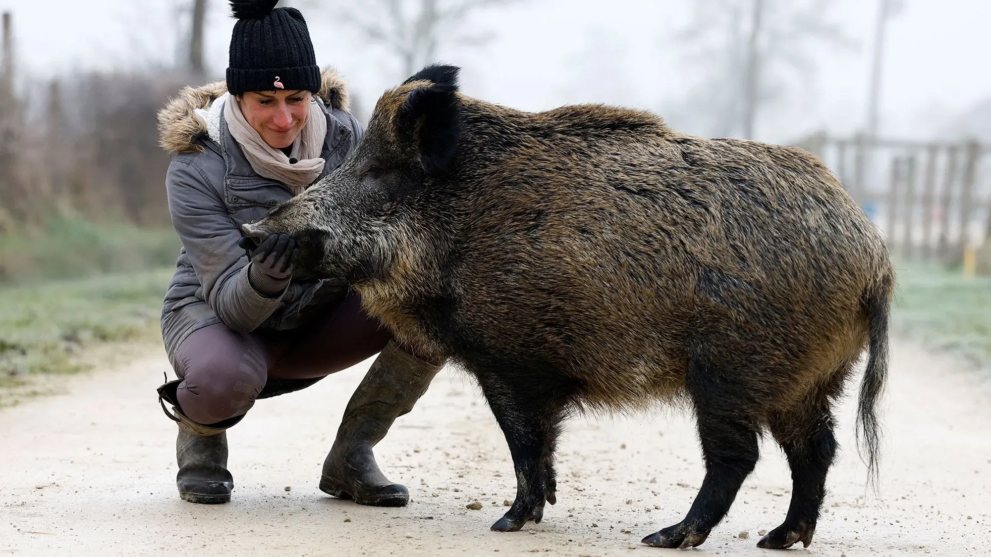 امرأة تحتضن خنزيرًا بريًا في مزرعة، تعبيرها يدل على الود والارتباط، في سياق قضية قانونية حول حقوق الحيوان.