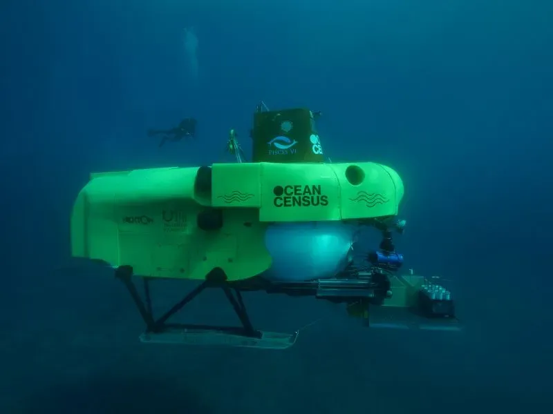 غواصة تابعة لمشروع "تعداد المحيطات" تستكشف الأعماق البحرية، مع غواصين في الخلف، ضمن جهود توثيق الحياة البحرية الجديدة.