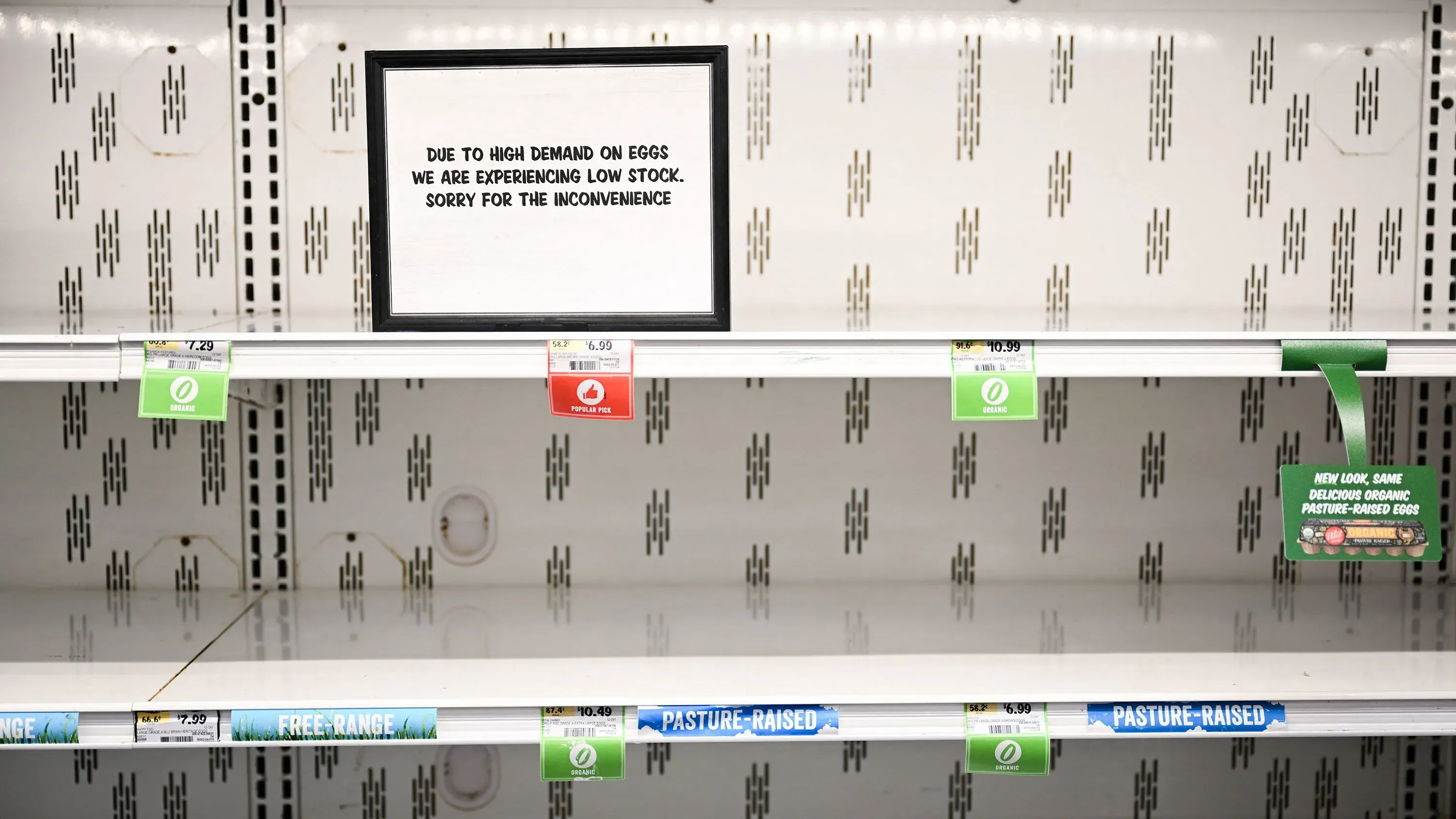 رفوف فارغة في متجر بقالة مع لافتة تحذر من نقص البيض بسبب الطلب العالي وتأثير إنفلونزا الطيور.
