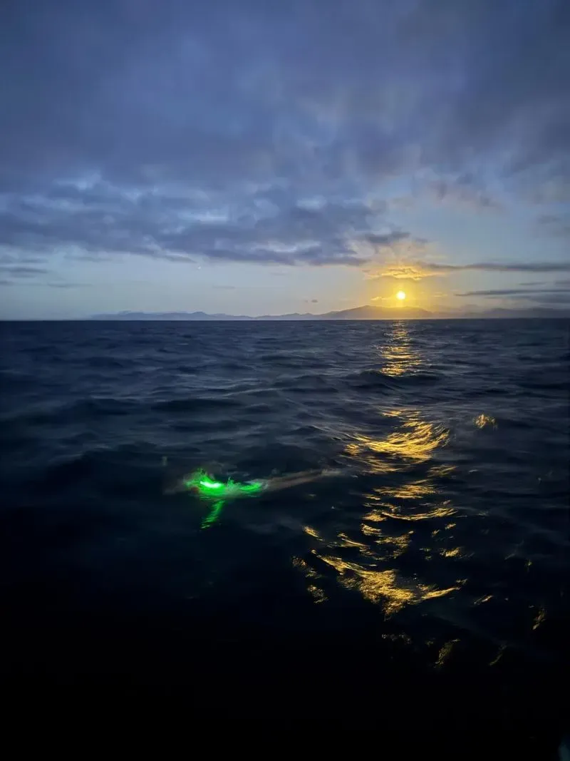 غروب الشمس ينعكس على مياه مضيق كوك، بينما تظهر أضواء خضراء تحت السطح، مما يبرز تحديات السباحة في المياه المفتوحة.