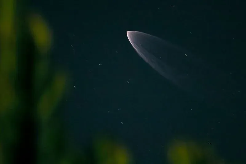 شكل حلزوني متوهج في السماء بعد إطلاق صاروخ فالكون 9، يظهر أثر الوقود المتبقي وهو يتدفق أثناء العودة إلى الغلاف الجوي.