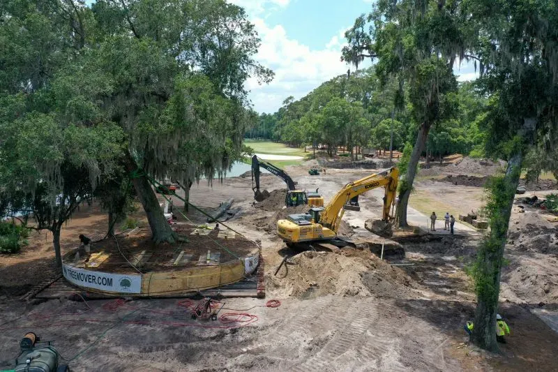 إعادة زراعة شجرة بلوط كبيرة في ملعب TPC Sawgrass، مع وجود آلات ثقيلة وعمال في موقع العمل، استعداداً لبطولة اللاعبين.