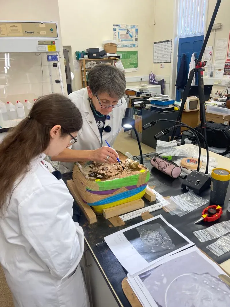 باحثتان تعملان على تحليل بقايا أثرية من دلو بروميسويل في مختبر، مع التركيز على محتوياته الغامضة التي تشمل عظام بشرية وحيوانية.