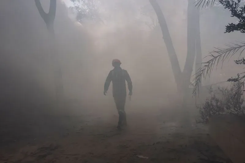 رجل يرتدي خوذة يسير في سحابة من الدخان وسط الأشجار، في موقع تحطم الطائرة، حيث تُظهر الأجواء حالة الفوضى والحزن.