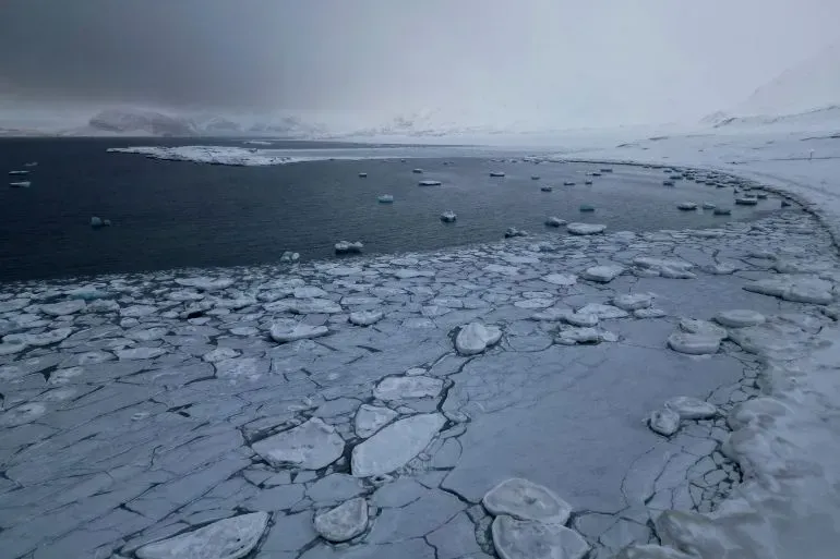 تظهر الصورة مشهدًا لبحر القطب الشمالي حيث تتناثر قطع الجليد على سطح الماء، مما يعكس تأثيرات تغير المناخ وذوبان الجليد.