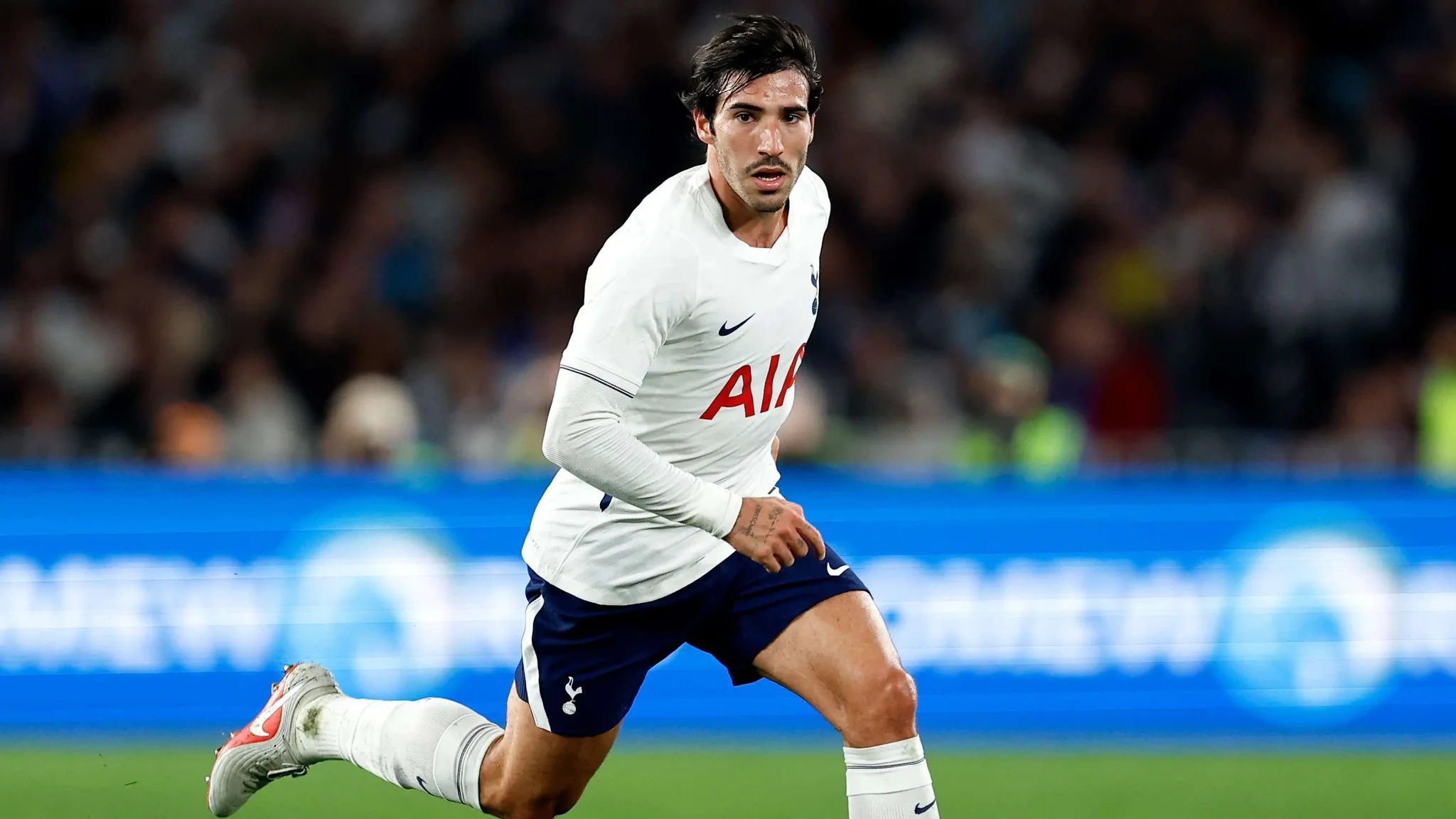 ساندرو تونالي لاعب وسط توتنهام يرتدي زي الفريق الأبيض خلال مباراة في الدوري الإنجليزي الممتاز، مع التركيز على دوره المحوري في مشروع المدرب دي زيربي.