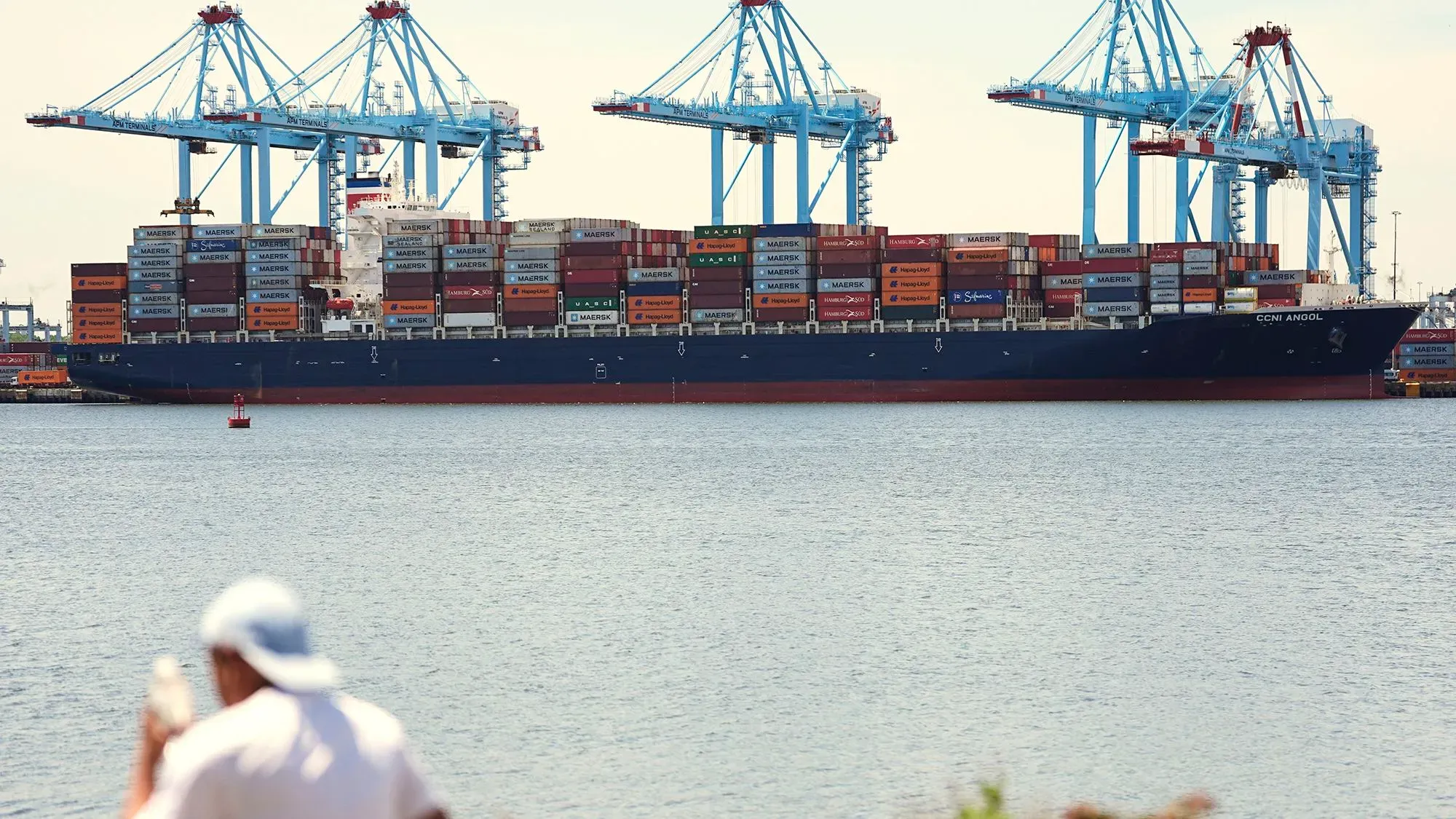 سفينة شحن محملة بالحاويات في ميناء أمريكي، مع ظهور رافعات الشحن في الخلفية، تعكس تأثيرات الحرب التجارية على الاقتصاد.