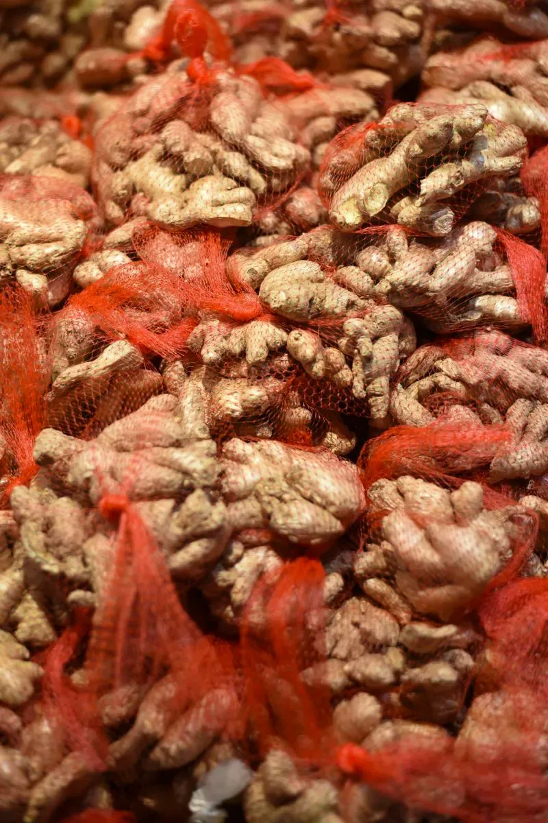 زنجبيل طازج محاط بأكياس شبكية حمراء، معروض في سوبر ماركت تشانغ جيانغ في فلاشينغ، كوينز، وسط أجواء تجارية آسيوية.