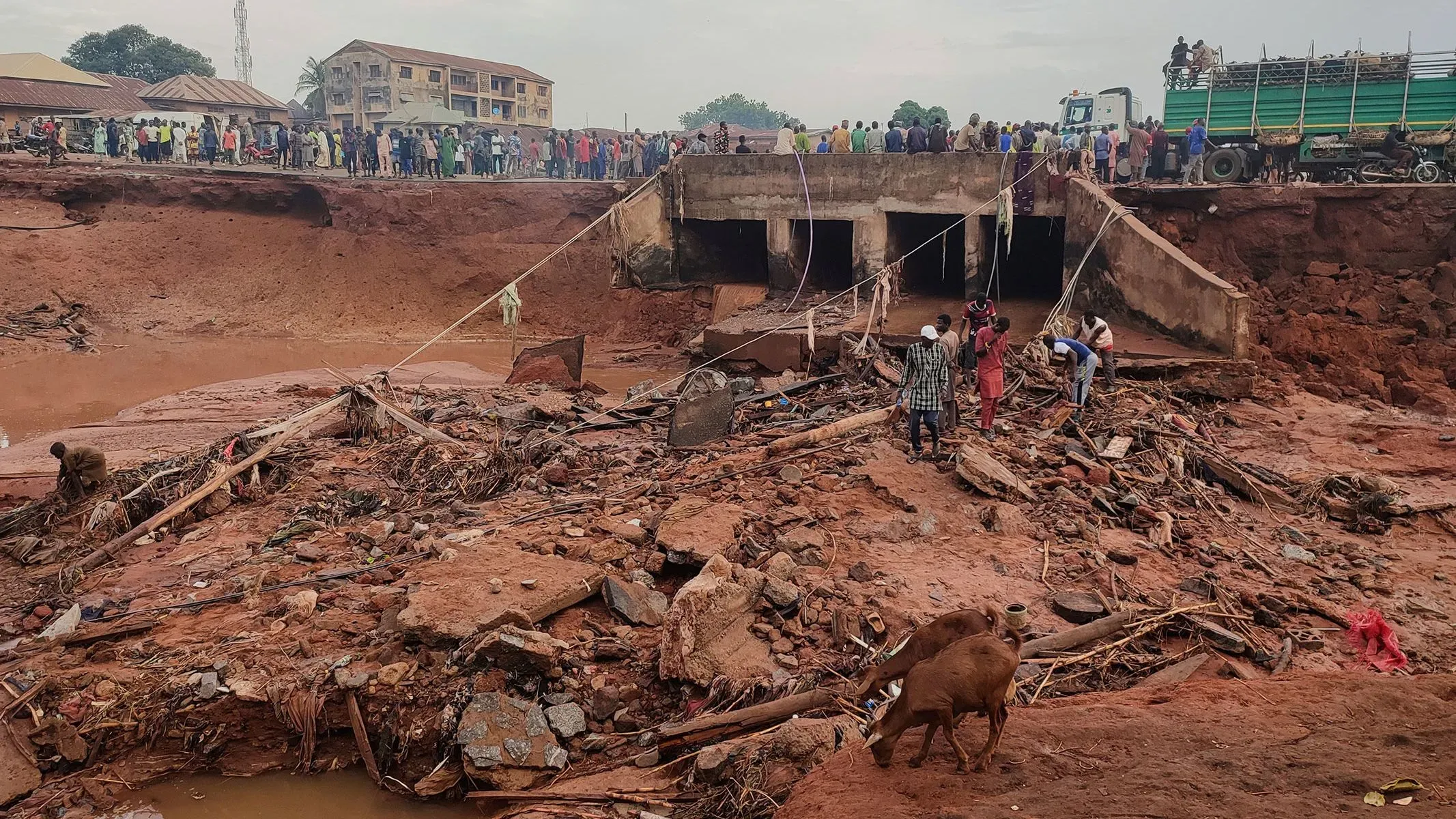 دمار كبير في بلدة موكوا النيجيرية بعد الفيضانات، مع رجال إنقاذ يبحثون عن ناجين وسط الحطام. الفيضانات أدت لمصرع 150 شخصًا.