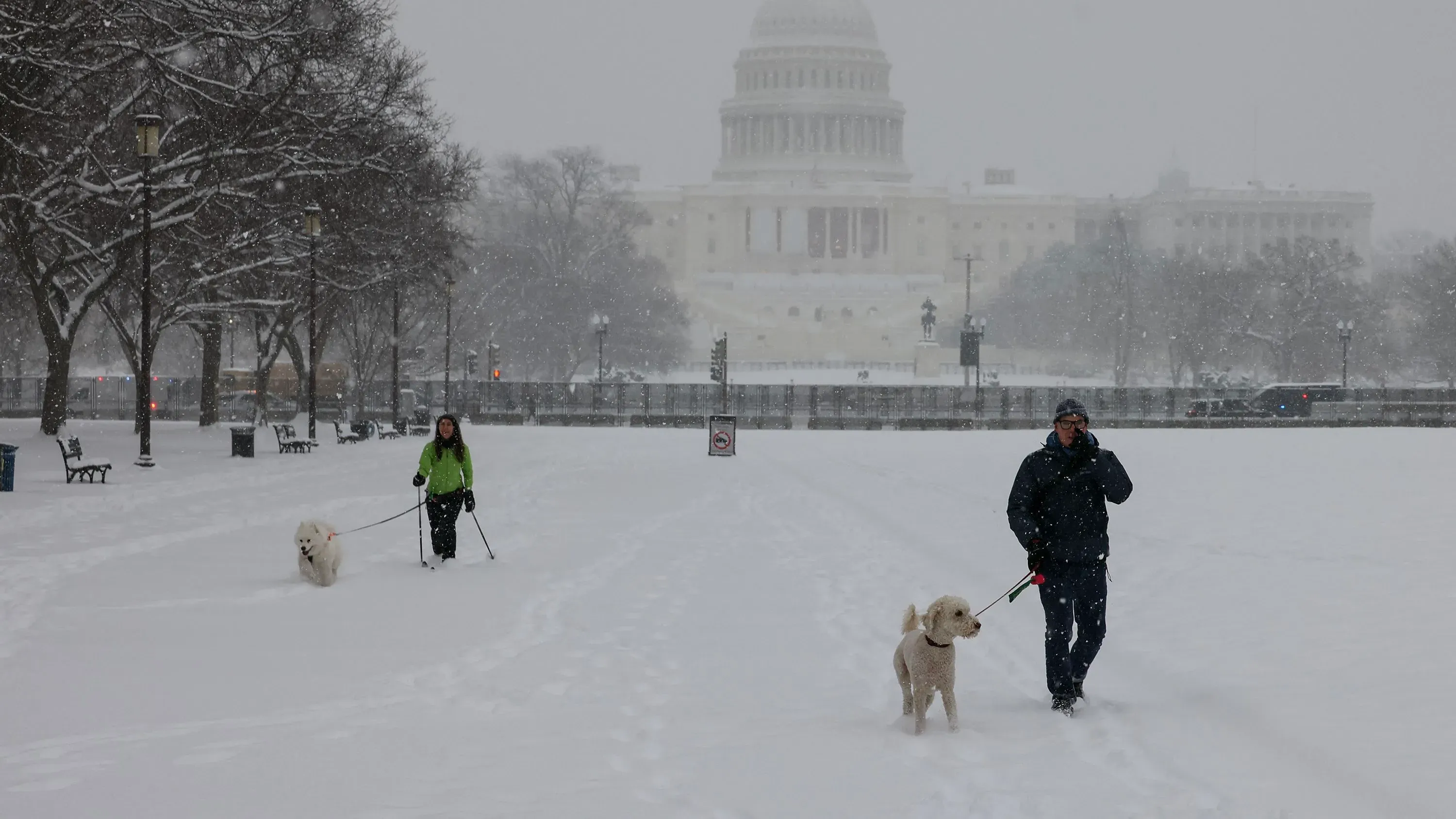 مشهد لاثنين يسيران مع كلابهم في منطقة مغطاة بالثلوج، بينما يظهر مبنى الكابيتول في الخلفية وسط عاصفة ثلجية قوية.