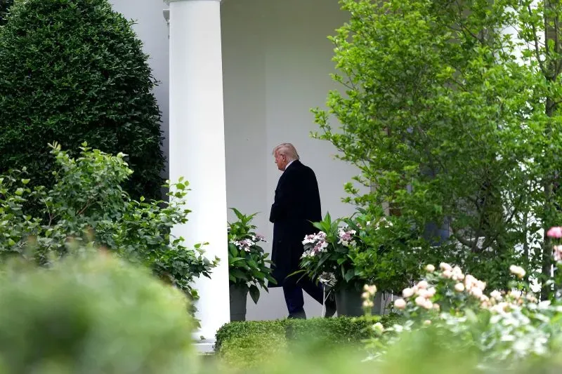 رجل يسير في حديقة البيت الأبيض، محاط بالأشجار والنباتات، في سياق التوترات التجارية بين الولايات المتحدة والصين.