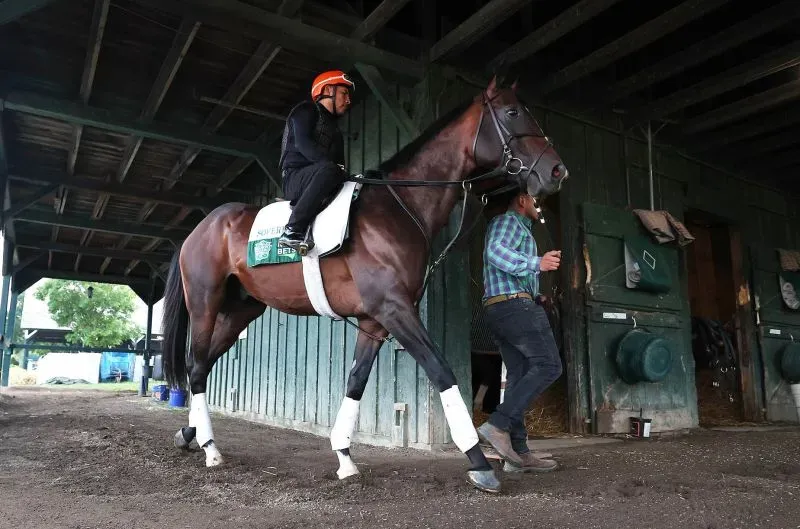 فارس يركب حصانًا أسود في اسطبل، بينما يسير بجانبه شخص آخر، استعدادًا لسباق بلمونت ستيكس.