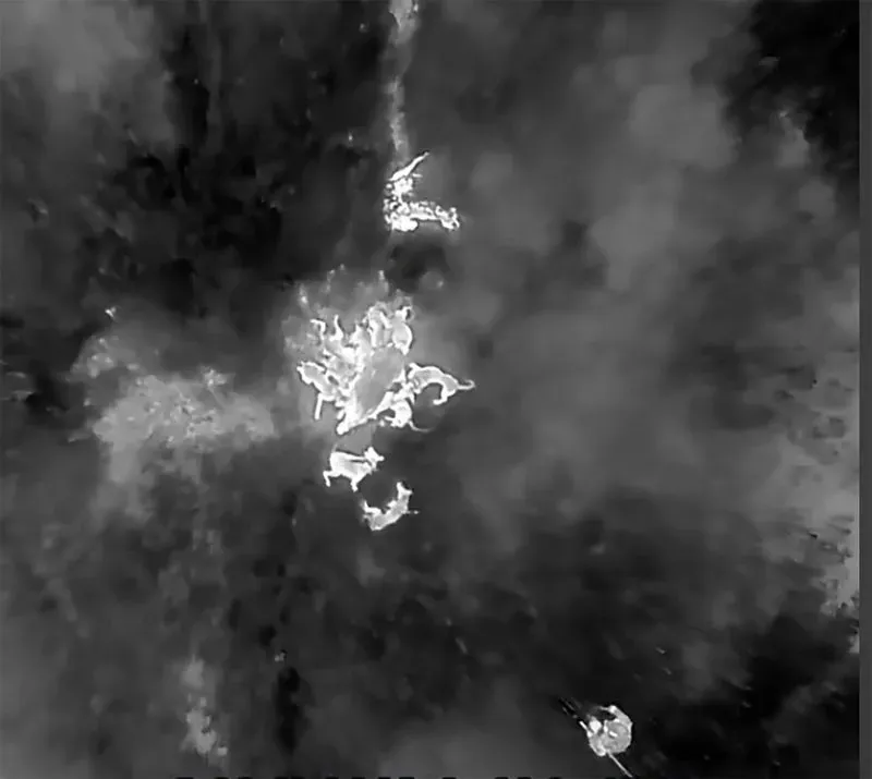 كلاب مطاردة تحاصر خنزيرًا بريًا في غابة بشمال غرب الصين، بينما تُستخدم طائرة درون لمراقبة الوضع خلال عملية الصيد.