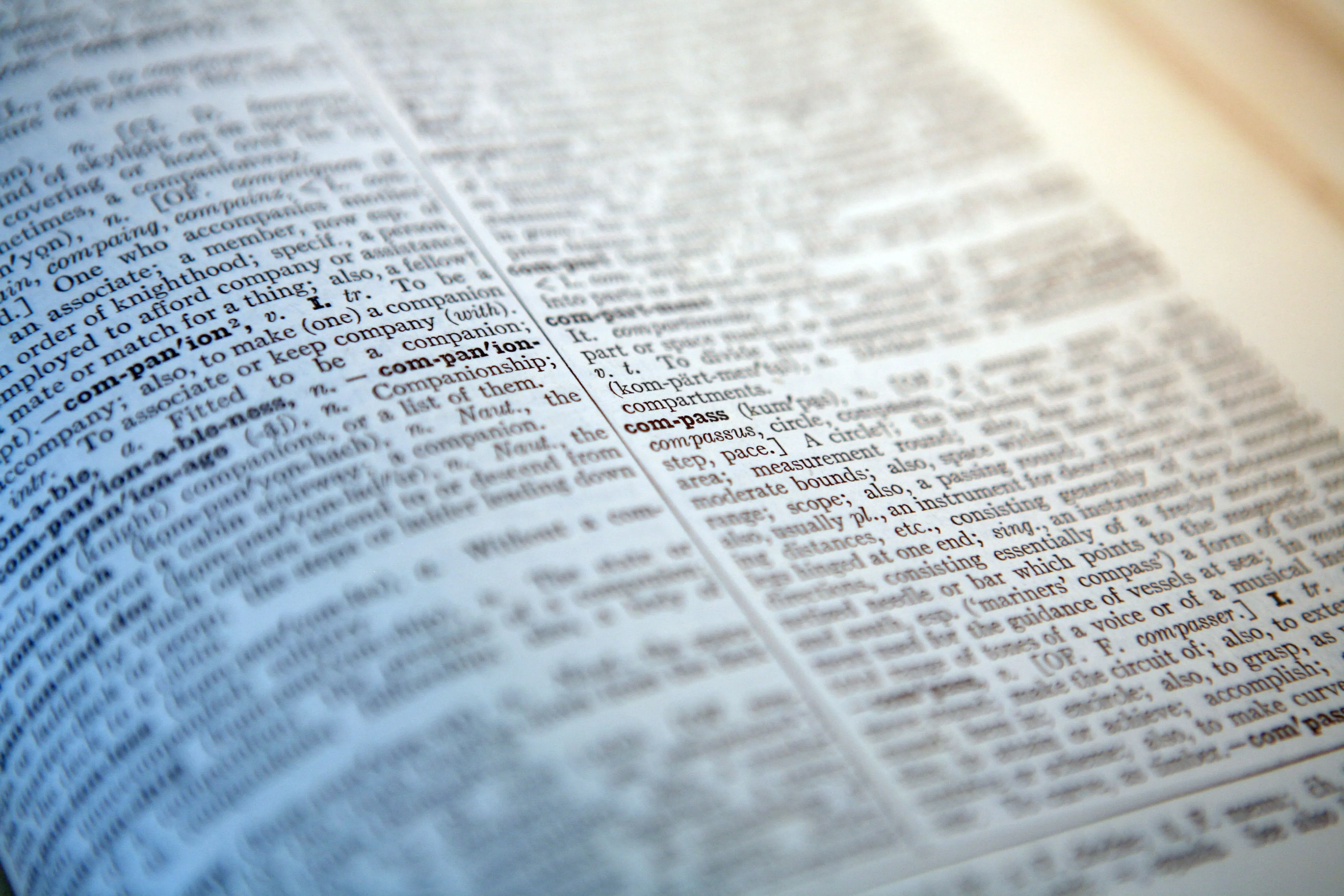 تظهر الصفحة الداخلية لقاموس كامبريدج مع نصوص توضح الكلمات الجديدة مثل "سكيبيدي" و"ديلولو"، مما يعكس تأثير ثقافة الإنترنت على اللغة.