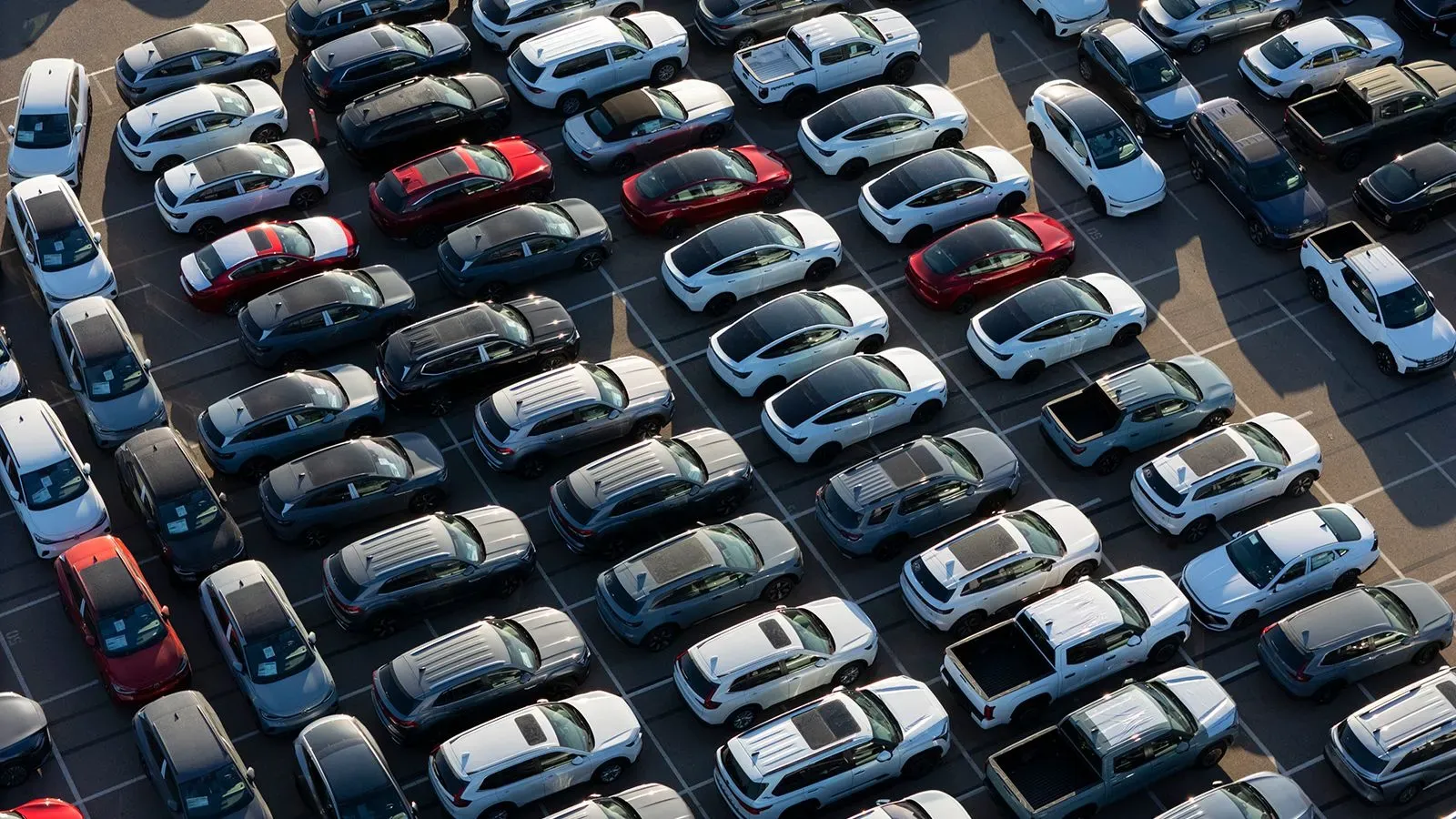 مصفوفة من السيارات الجديدة في موقف سيارات، تشمل ألوانًا متنوعة مثل الأبيض والأسود والأحمر، تعكس السوق الأمريكي وتأثير التعريفات الجمركية.