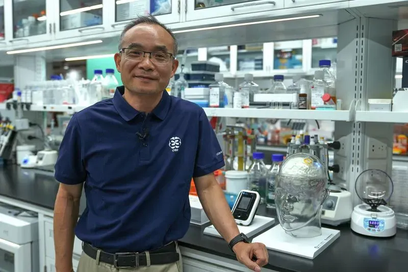 عالم في مختبر CIBR ببكين، يقف بجوار نموذج رأس بشري ومواد بحثية، في إطار تجربة تكنولوجيا واجهة الدماغ والحاسوب.