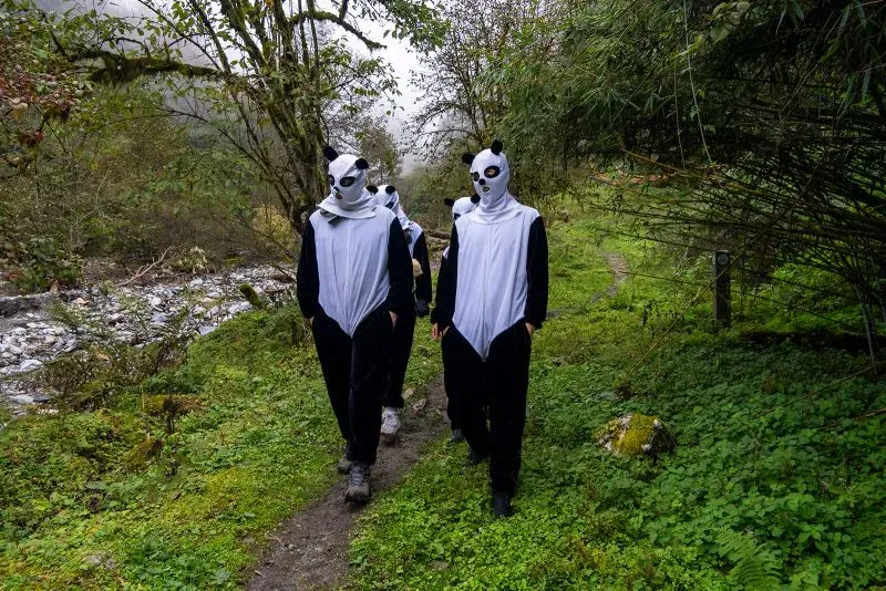 مجموعة من الأشخاص يرتدون أزياء على شكل باندا، يسيرون في ممر طبيعي وسط الأشجار والنباتات الخضراء.