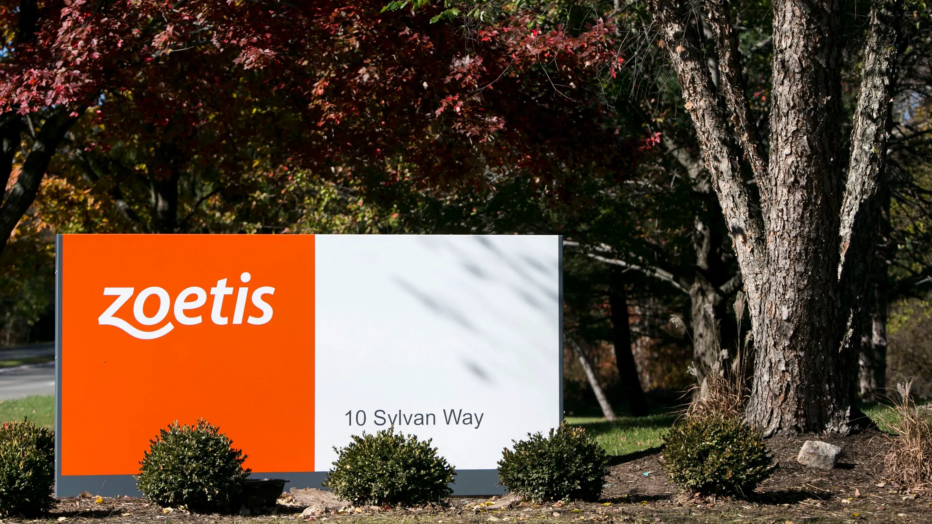 لافتة شركة زويتس، مع تفاصيل العنوان، محاطة بأشجار وأشجار مزهرة، تعكس جهود الشركة في تطوير لقاح إنفلونزا الطيور.