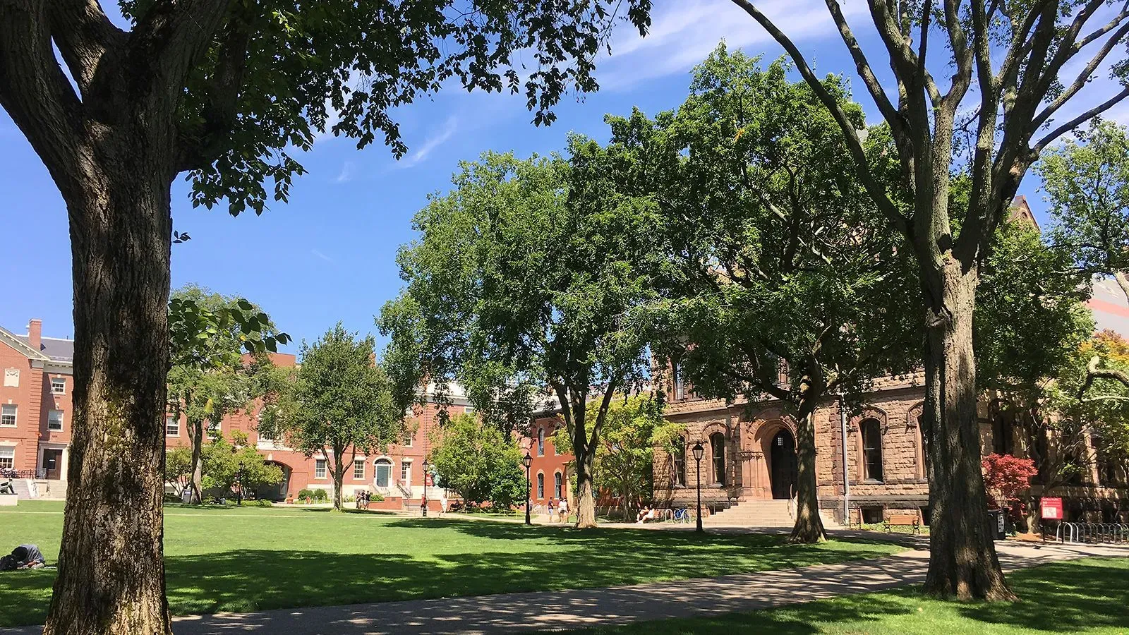 حديقة جامعة براون في رود آيلاند، تظهر أشجار خضراء ومباني تاريخية، تعكس أجواء أكاديمية هادئة وسط الجدل حول ترحيل دكتورة رشا علوية.