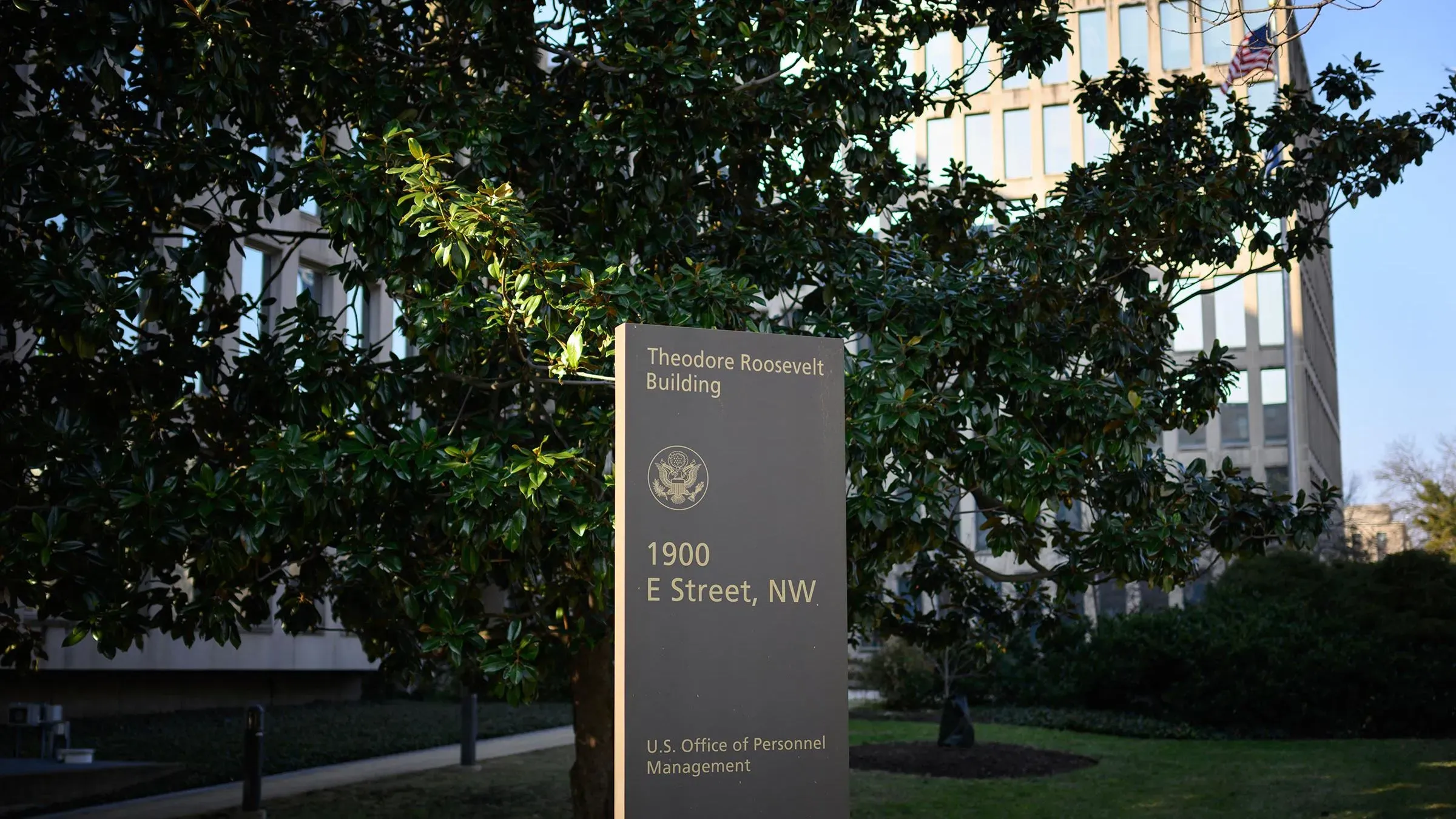 مبنى ثيودور روزفلت، المقر الرئيسي لمكتب إدارة شؤون الموظفين في واشنطن، مع لافتة توضح العنوان. يشير إلى جهود تحسين الكفاءة الحكومية.