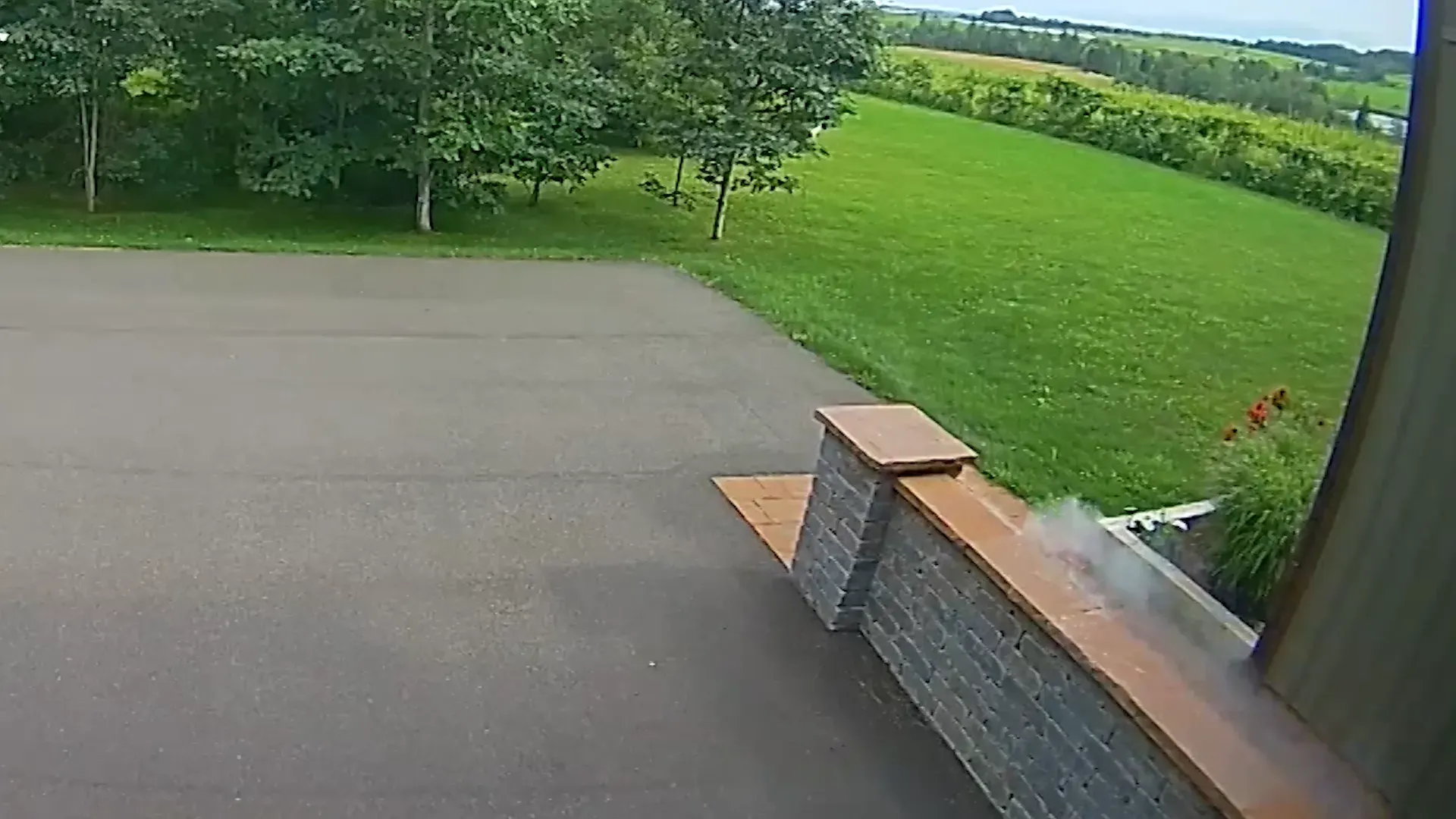 تظهر الصورة لحظة سقوط نيزك بالقرب من فناء في جزيرة الأمير إدوارد، حيث كانت الكاميرا تلتقط الحادثة الفريدة.