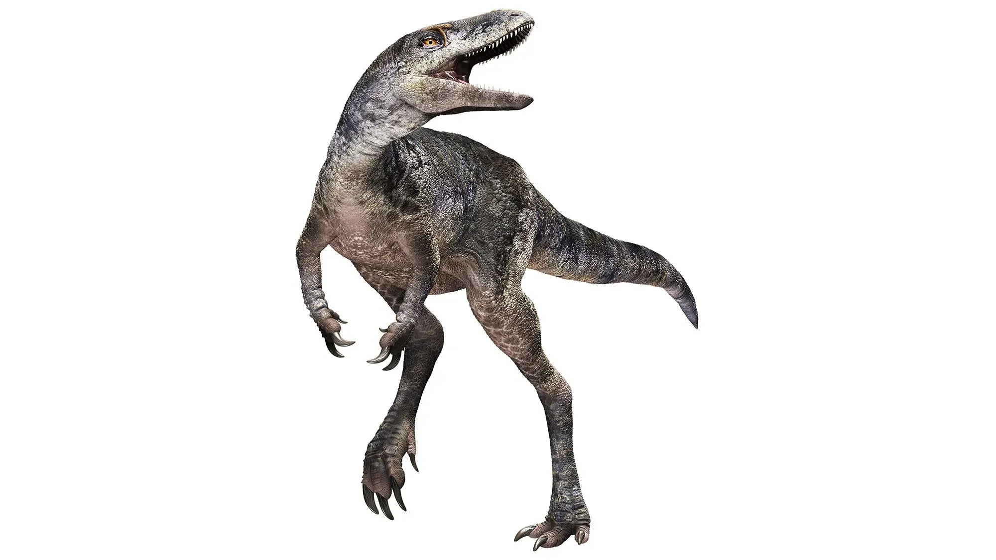 ديناصور خنخولو منغولينسيس، نوع جديد من التيرانوصورات، يظهر بمظهر صغير مقارنةً بالتيرانوصورات الأكبر مثل تي ريكس، مع تفاصيل عن هيكله.