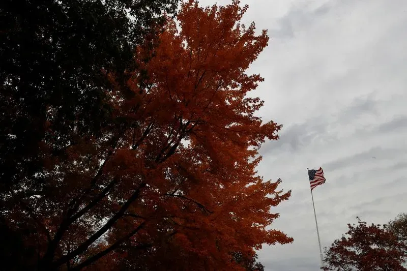 شجرة ذات أوراق برتقالية تبرز تحت سماء غائمة، مع علم الولايات المتحدة يرفرف في الخلفية، مما يعكس التوترات الحالية بين الصين وأمريكا.