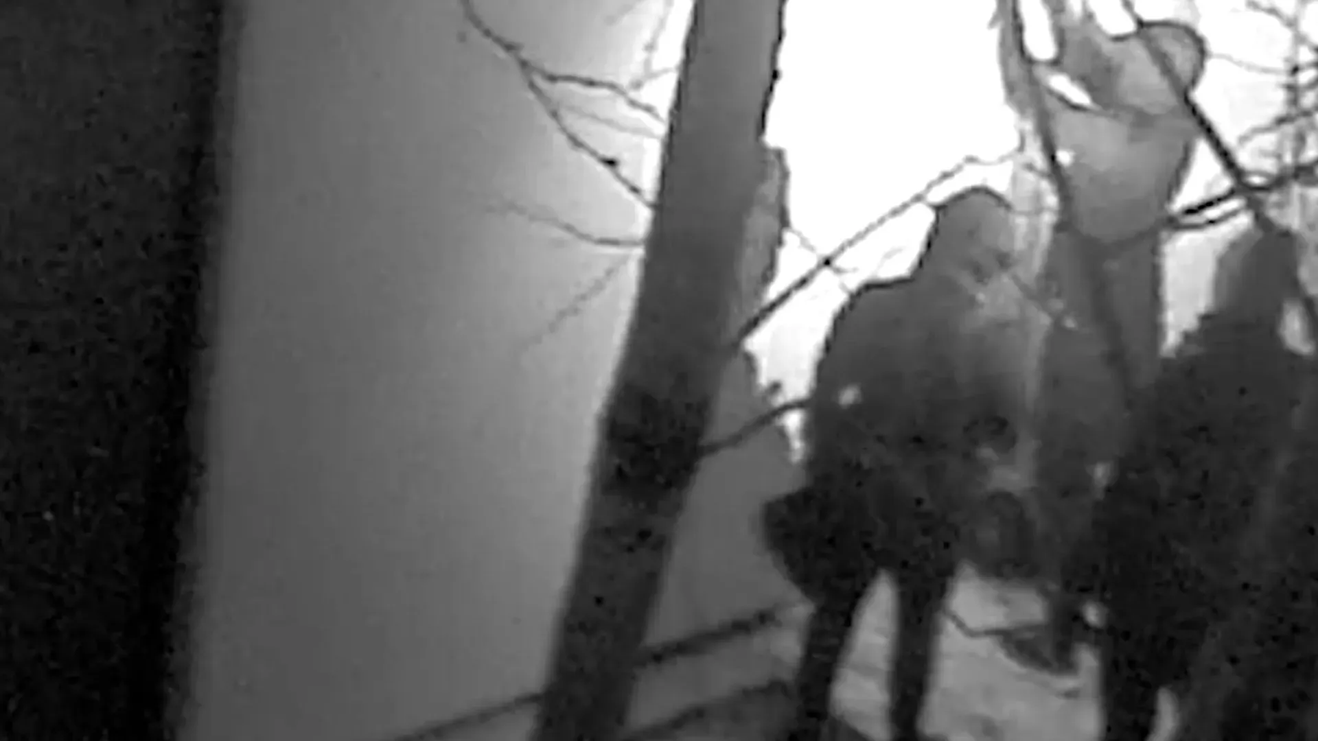 أفراد يمسكون بسلم داخل متحف درينتس أثناء اقتحام يعقب انفجار لتفجير باب أثناء سرقة قطع أثرية نادرة.