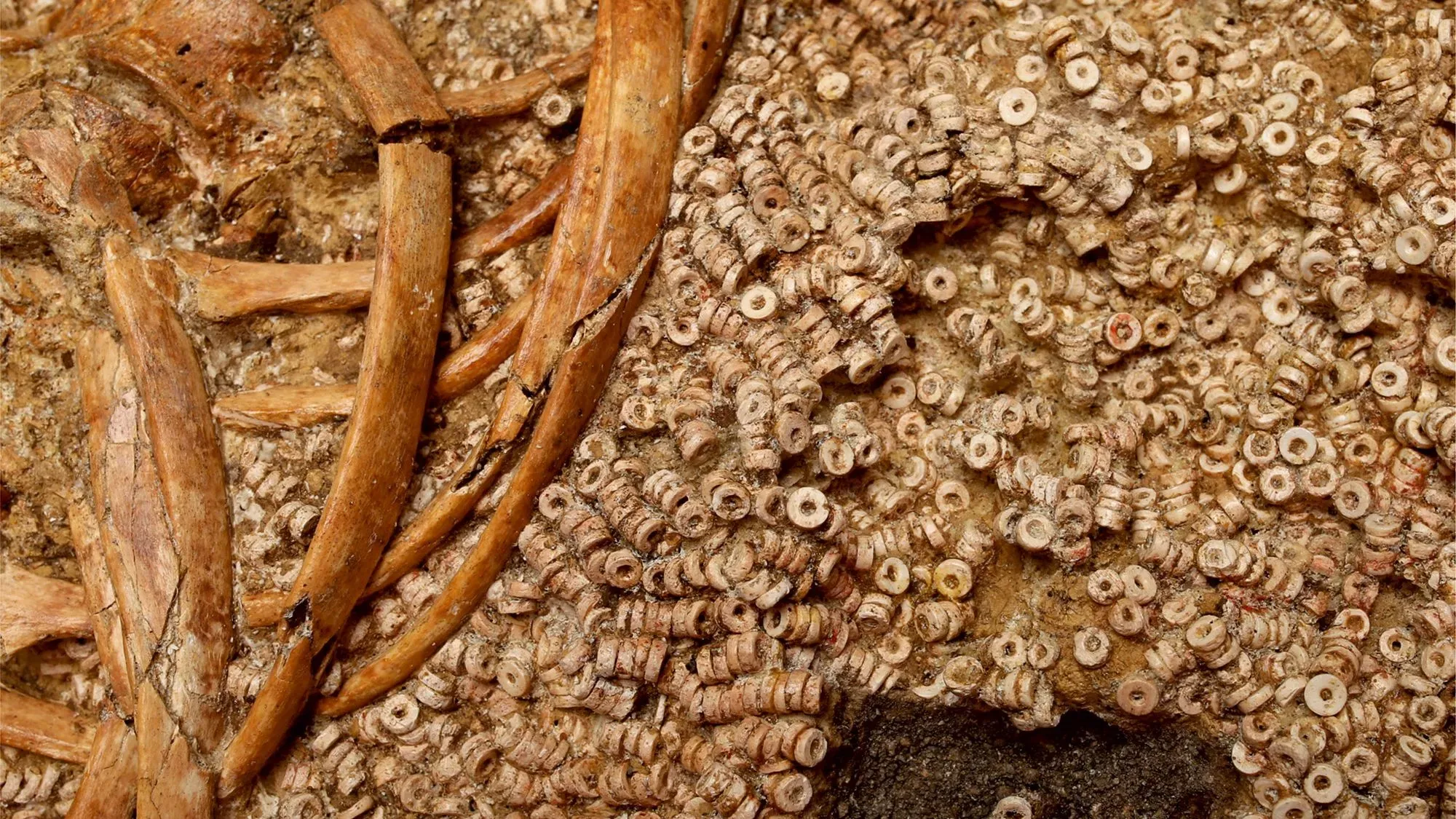 خواتم وقطع خرز بيضاء في مقبرة عمرها 5000 عام، تعكس تقاليد الزينة والتبادل الاجتماعي واستخدامها في الملابس الاحتفالية.