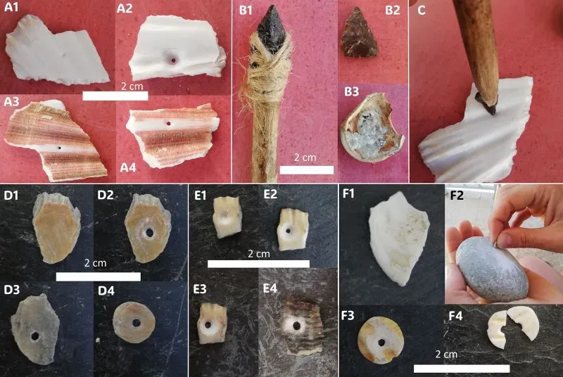 تظهر الصورة مجموعة متنوعة من الخرزات الأثرية والقطع المستخدمة في صناعة الخرزات من مقبرة قديمة في إسبانيا، مما يسلط الضوء على التحف الفنية من 5000 عام.
