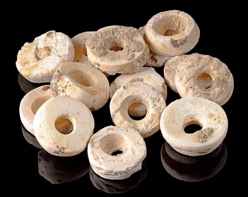 خرز بيضاوي الشكل يعود لعصر ما قبل التاريخ، يُظهر مجموعة فريدة من الخرزات التي استخدمت لتزيين الملابس الاحتفالية.