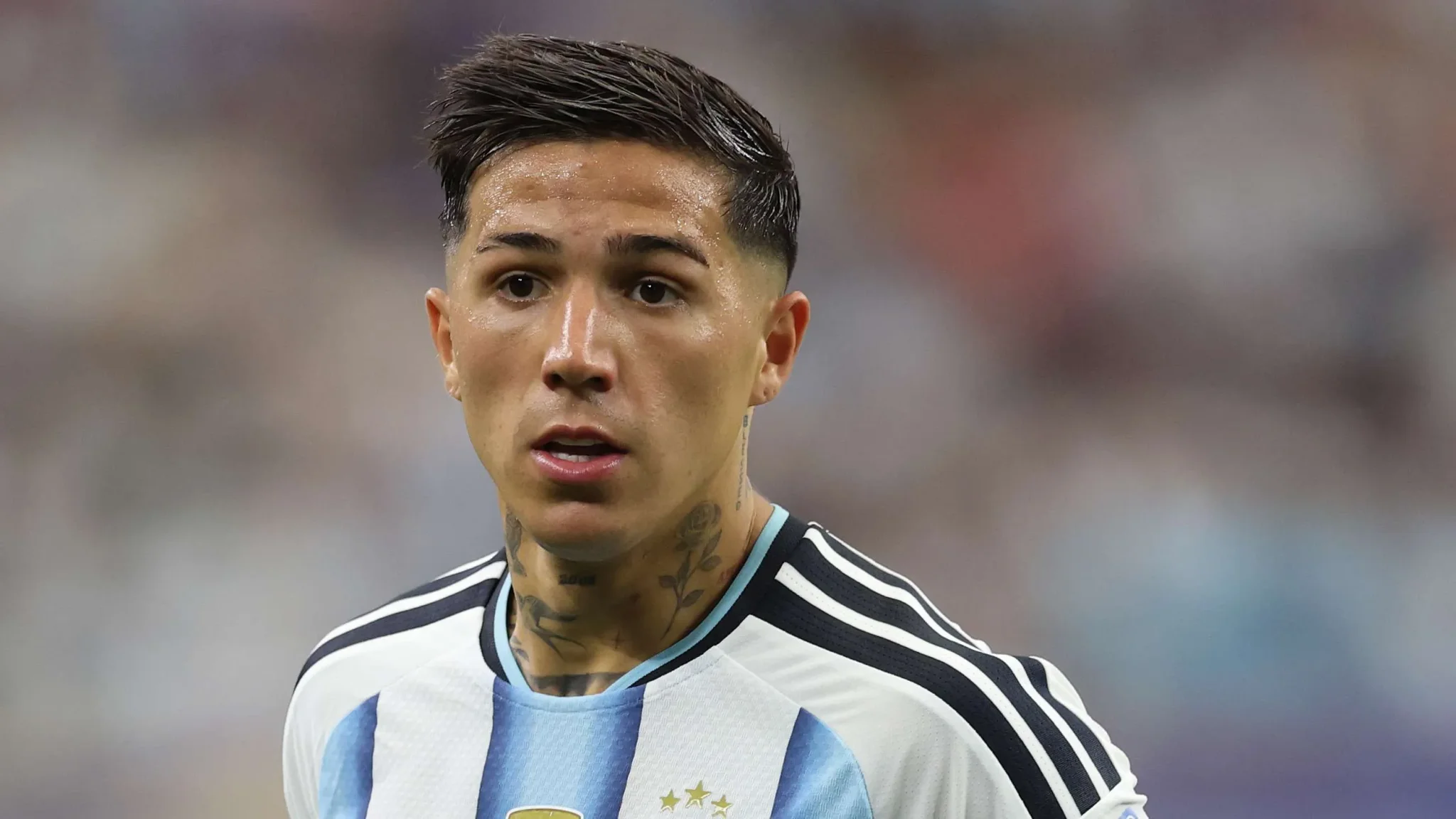 إنزو فيرنانديز لاعب وسط الأرجنتين يشارك في كأس العالم مع تركيز على مستقبله المحتمل خارج تشيلسي وسط تقارير عن اهتمام ريال مدريد.