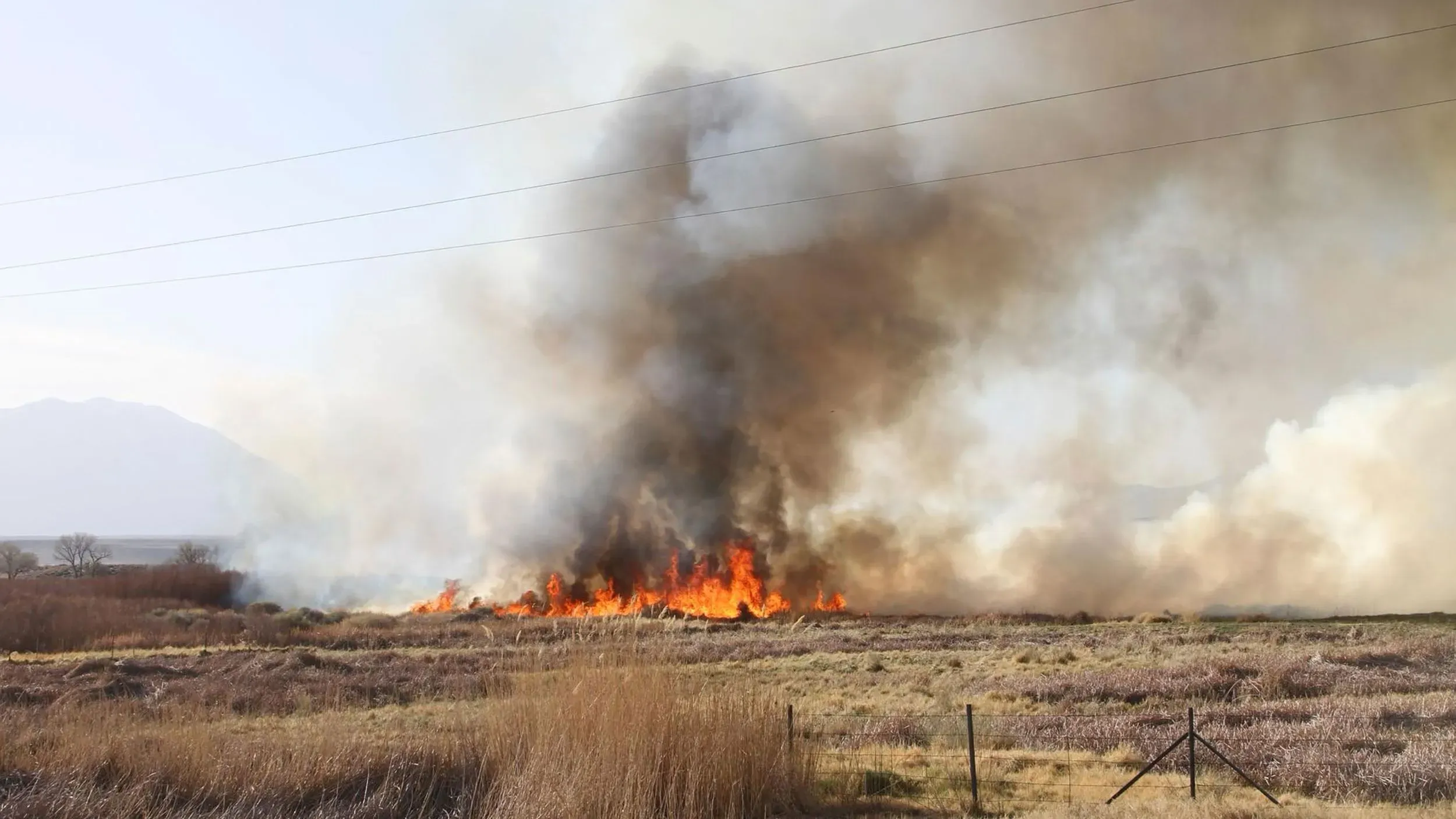 اندلاع حريق غابات في شرق كاليفورنيا، مع تصاعد الدخان والنيران في منطقة جافة، مما يهدد المنازل والموائل المحلية.