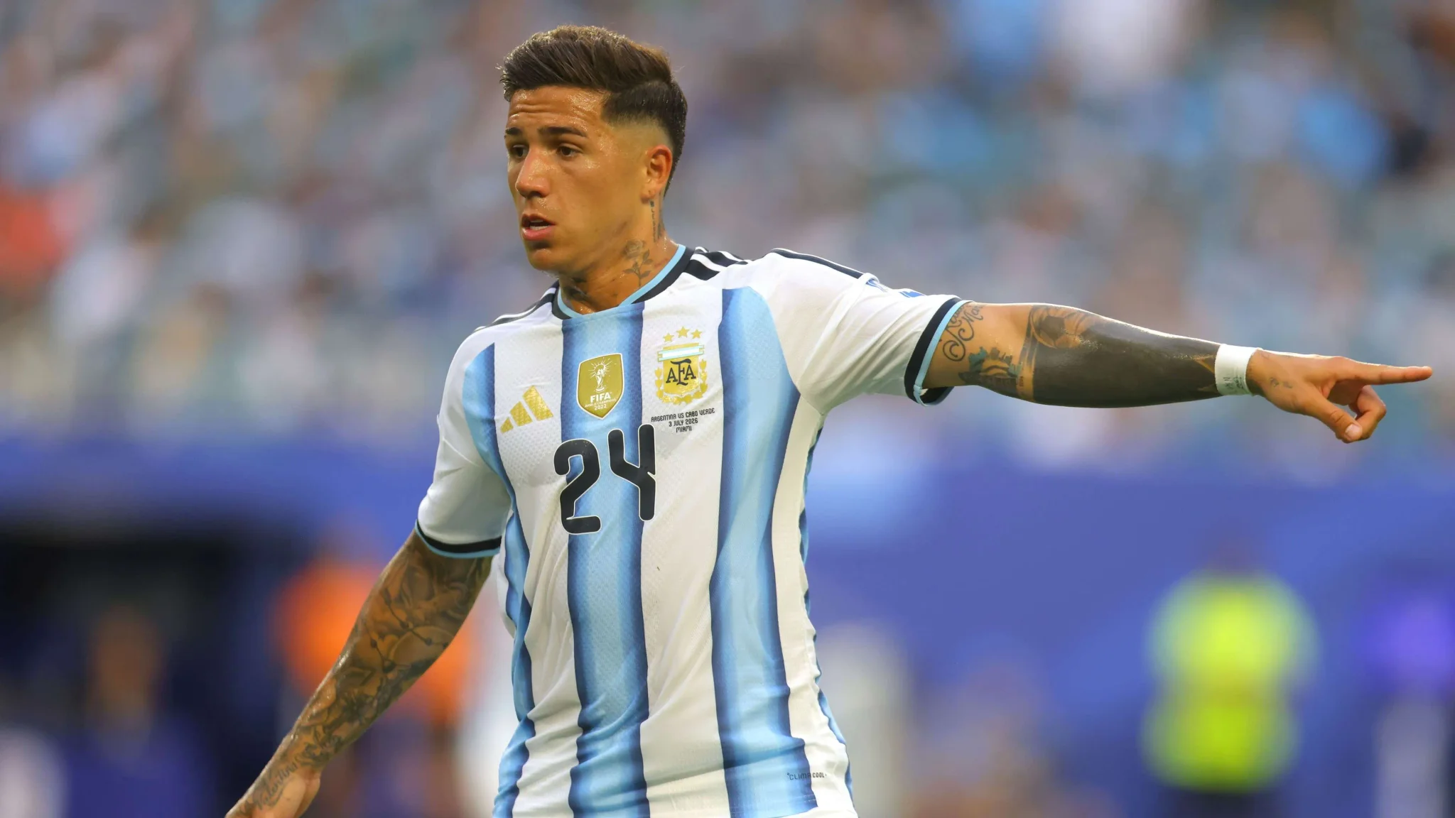 إنزو فرنانديز لاعب وسط الأرجنتين يرتدي قميص المنتخب ويركز أثناء مباراة كأس العالم، مع توضيح استقرار عائلته في إنجلترا.