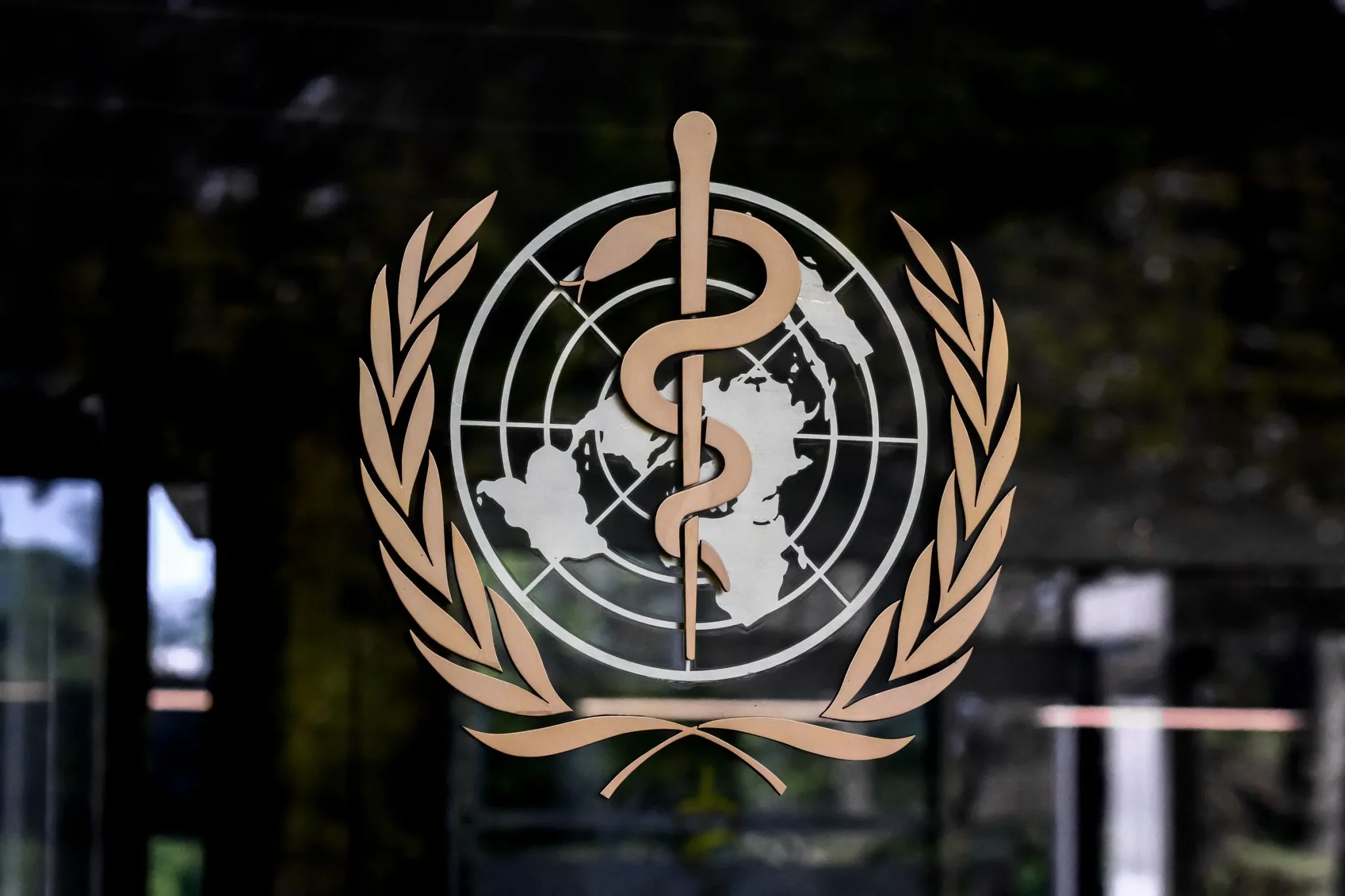 شعار منظمة الصحة العالمية (WHO) يظهر على نافذة، مع رموز طبية وعالمية، يعكس أهمية التعاون الدولي في مواجهة الأوبئة.