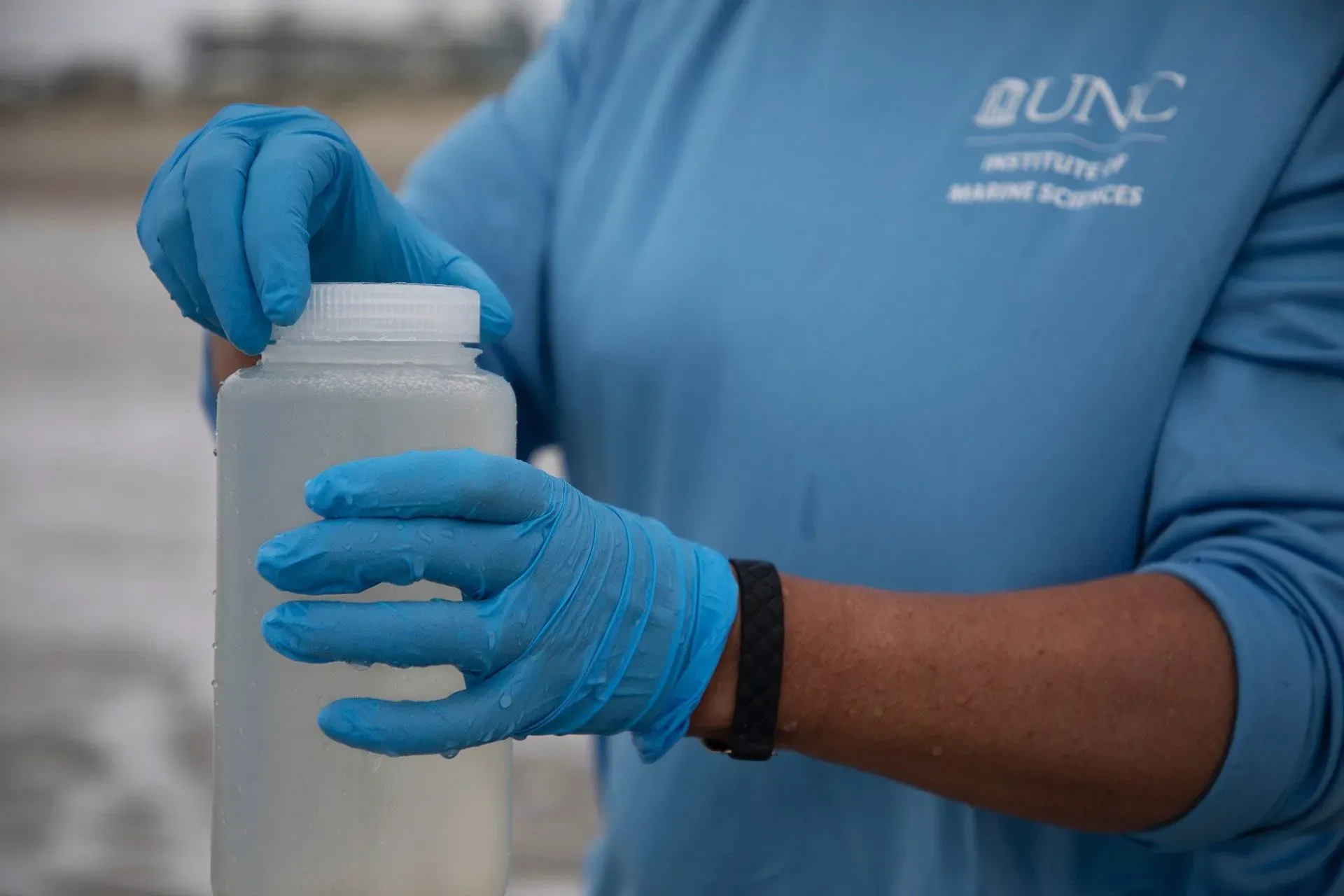شخص يرتدي قفازات زرقاء يقوم بإغلاق زجاجة شفافة تحتوي على سائل، في سياق البحث عن بكتيريا الضمة في المياه الساحلية.