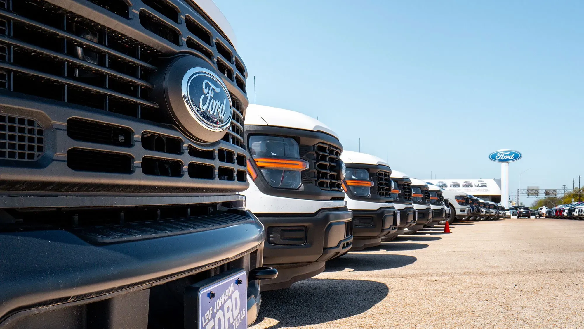 صف من شاحنات فورد الجديدة في ساحة عرض، مع التركيز على شعار فورد، في سياق زيادة مبيعات السيارات في مارس.