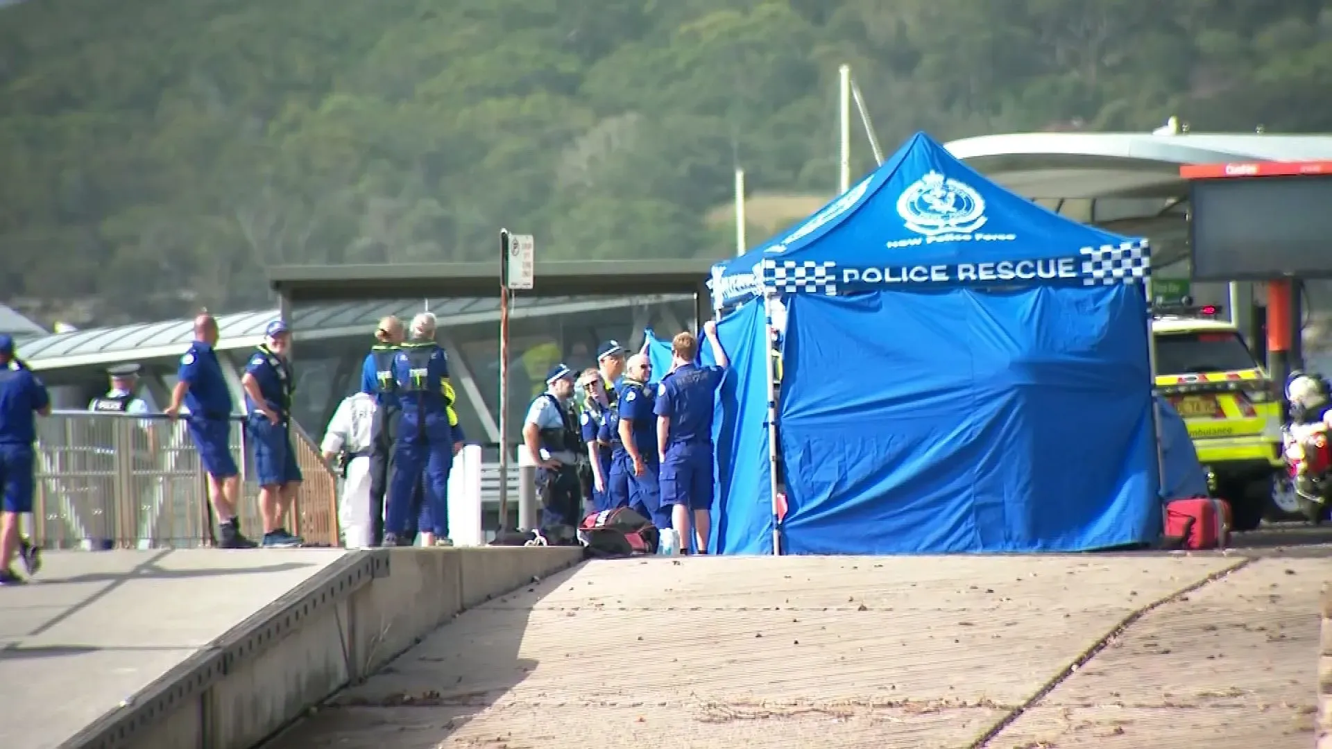 تجمع فرق الإنقاذ والشرطة في ميناء سيدني بعد حادثة تعرض صبي لعضة سمكة قرش، حيث يتم تقديم المساعدة الطارئة.