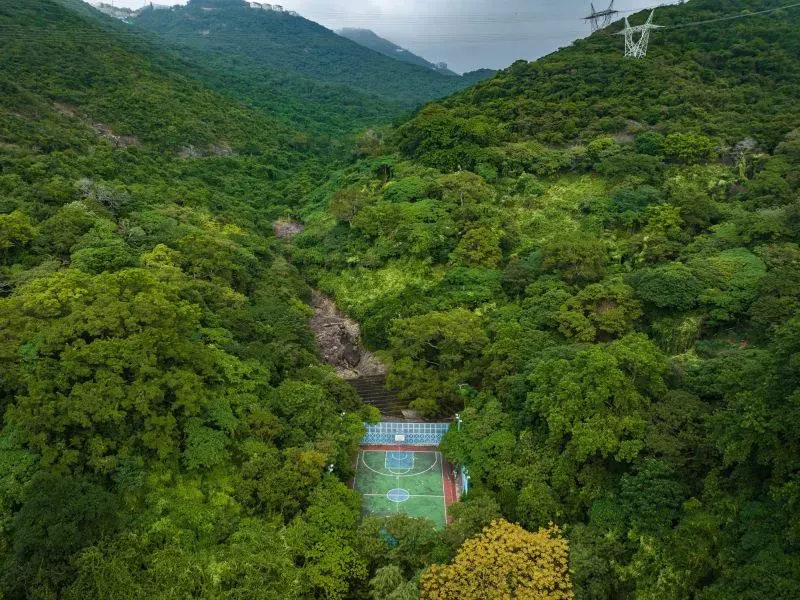 ملعب كرة سلة محاط بأشجار كثيفة في منطقة جبلية، يعكس التصميم الحضاري الفريد في هونغ كونغ.