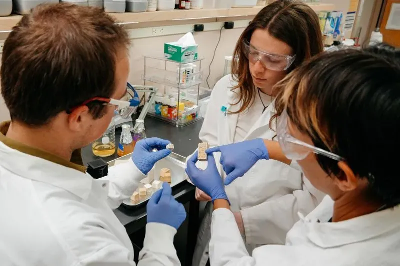 باحثون في مختبر يدرسون نماذج من مادة بناء حية مصنوعة من الفطريات والبكتيريا، بهدف تطوير بديل مستدام للأسمنت.