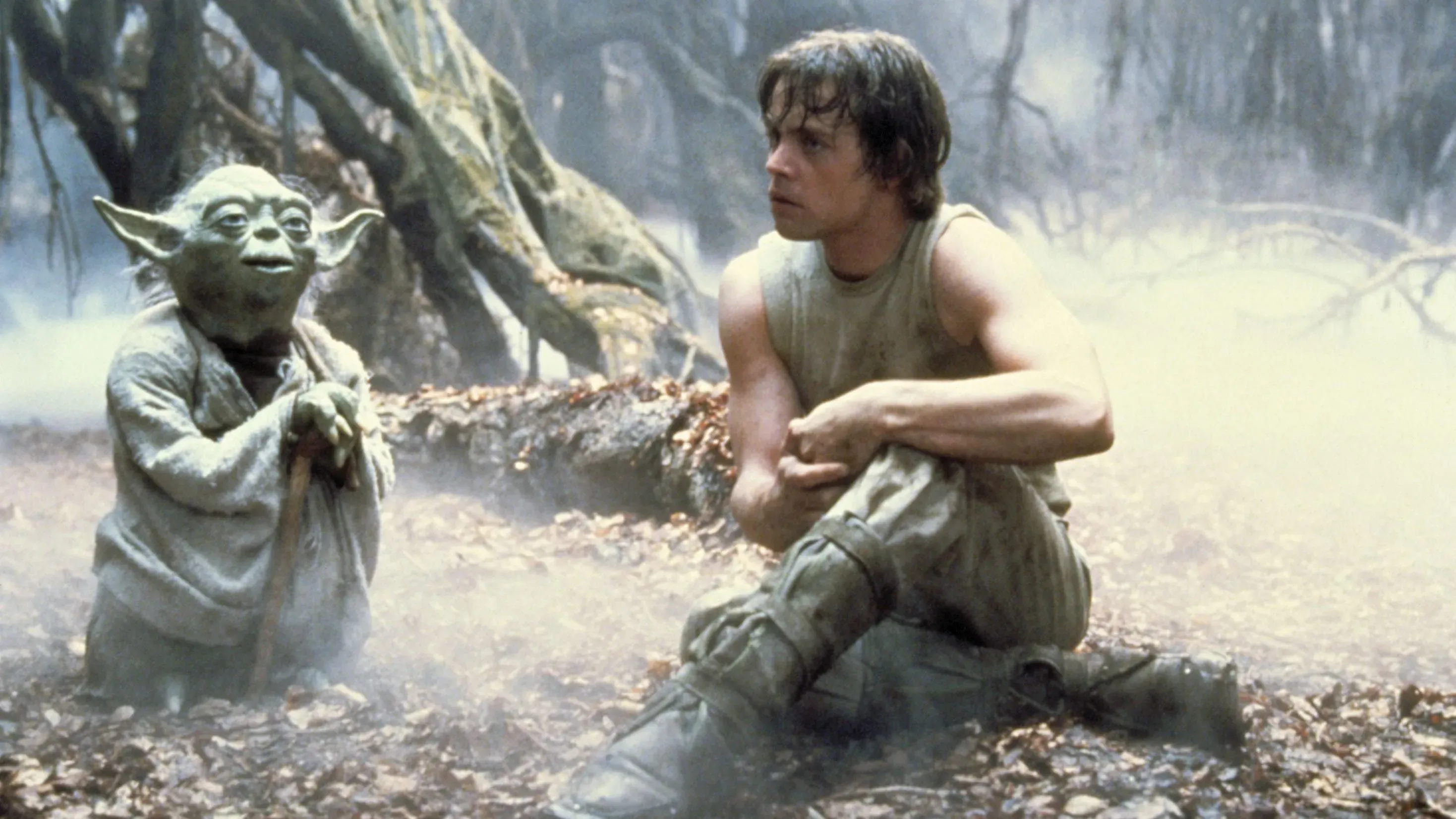 يودا، معلم الجيداي، يجلس مع لوك سكاي ووكر في غابة، يعبران عن لحظة تعليمية هامة في فيلم "إمباير سترايكس باك".