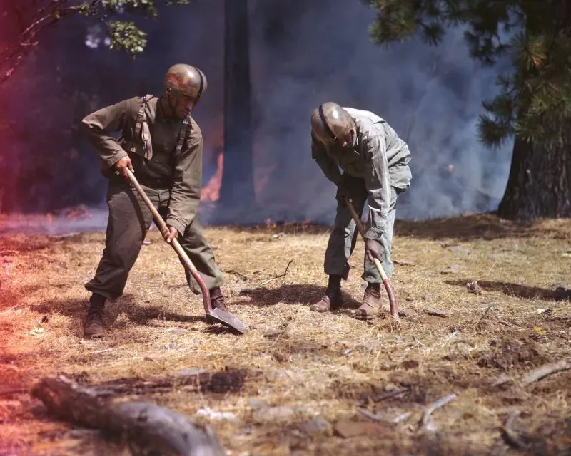 جنود من كتيبة "ثلاثي النيكلز" يستخدمون المعاول لإخماد حرائق الغابات، مرتدين خوذات وأزياء مقاومة للحرائق.