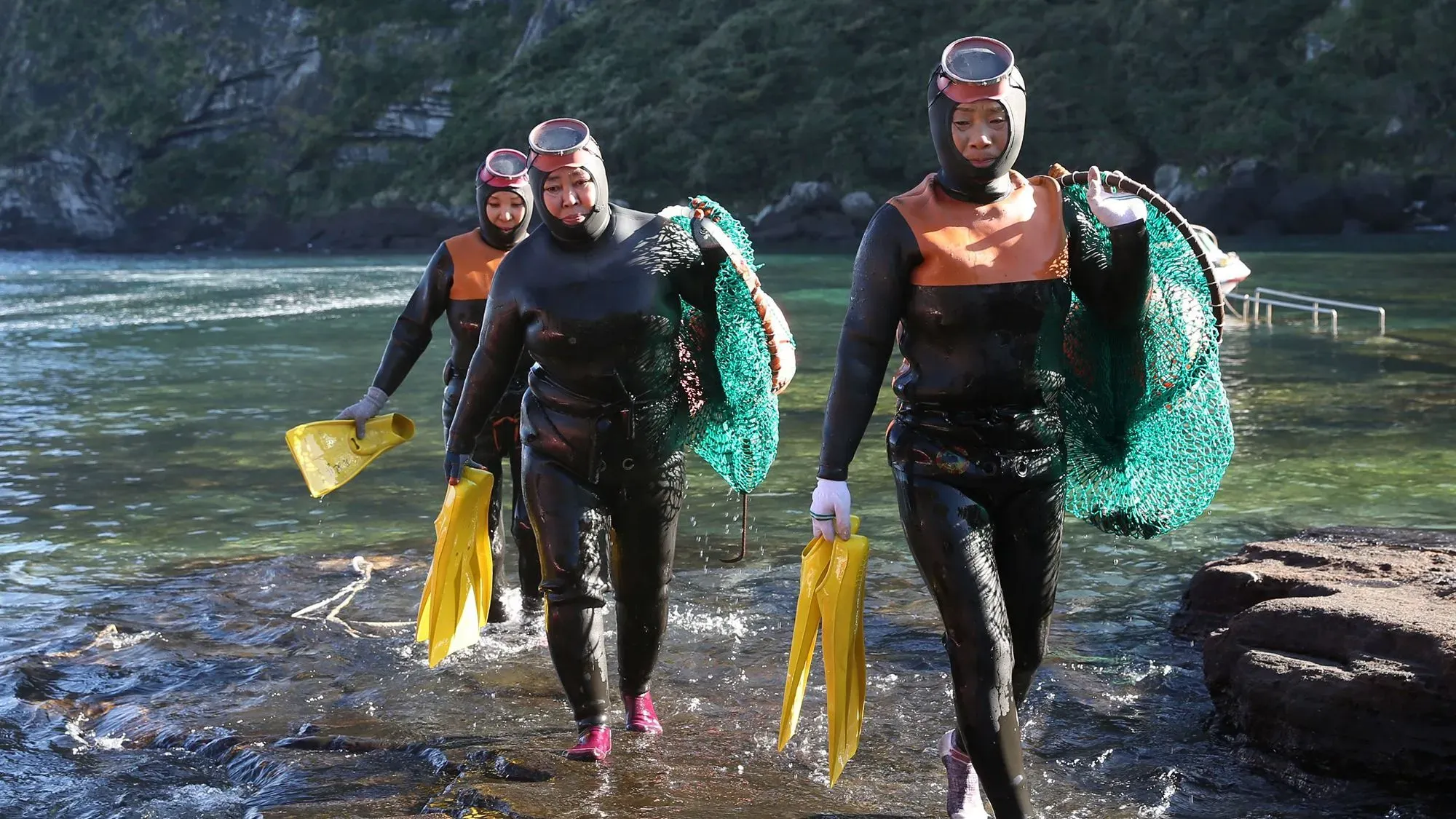 مجموعة من غواصات الهاينيو يرتدين بدلات مبللة ويخرجن من الماء في جزيرة جيجو، حيث يجمعن المأكولات البحرية.