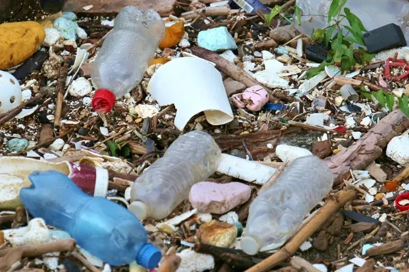 تظهر الصورة حطامًا بلاستيكيًا متنوعًا، بما في ذلك زجاجات وأكواب، مرميًا على الأرض، مما يعكس مشكلة تلوث البلاستيك المتزايدة.